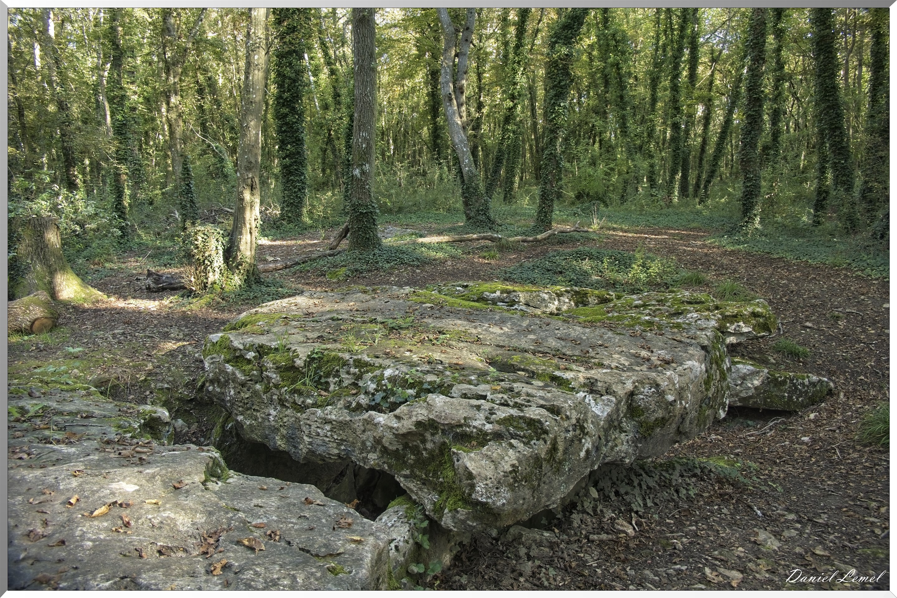 Dampsmesnil