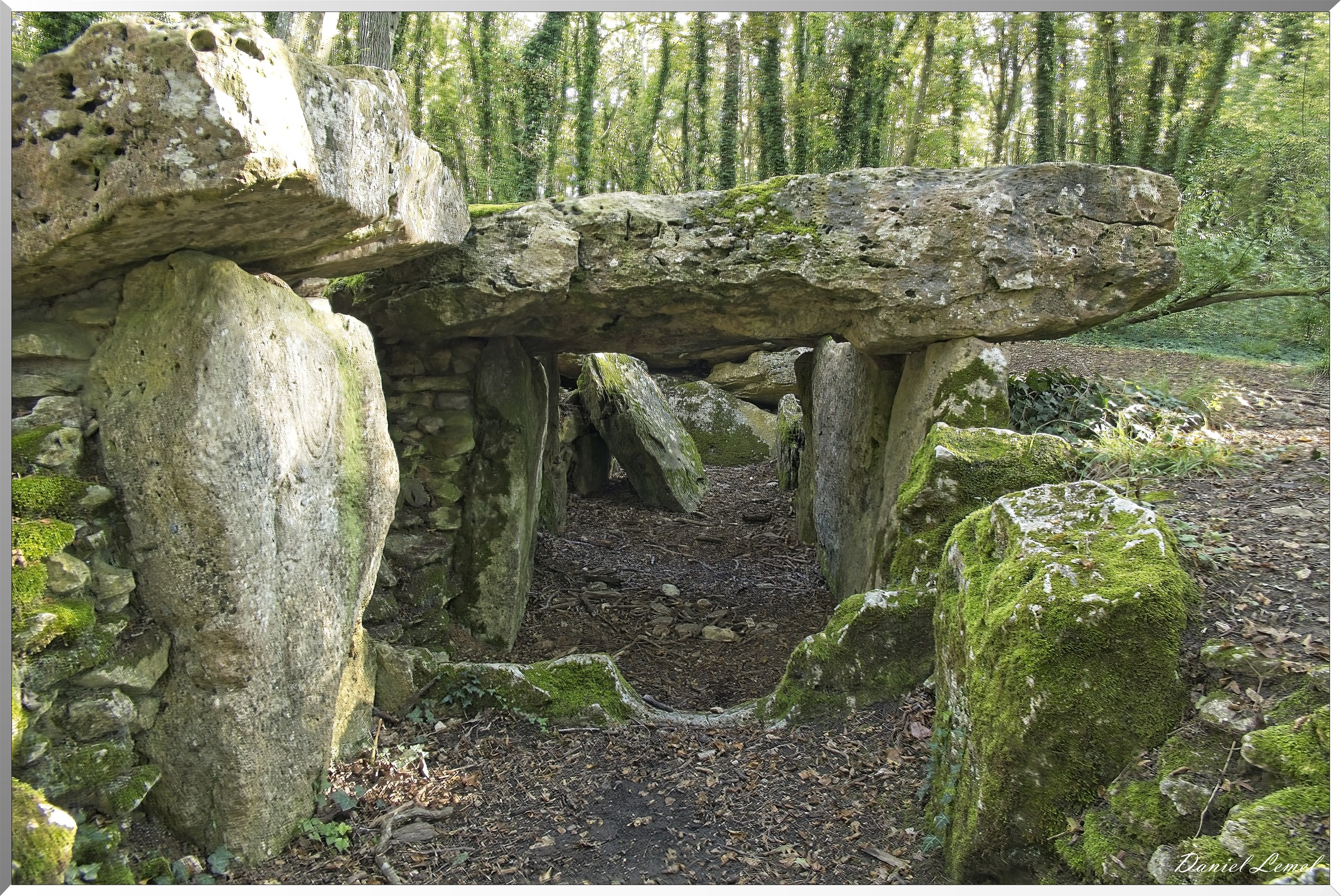 Dampsmesnil