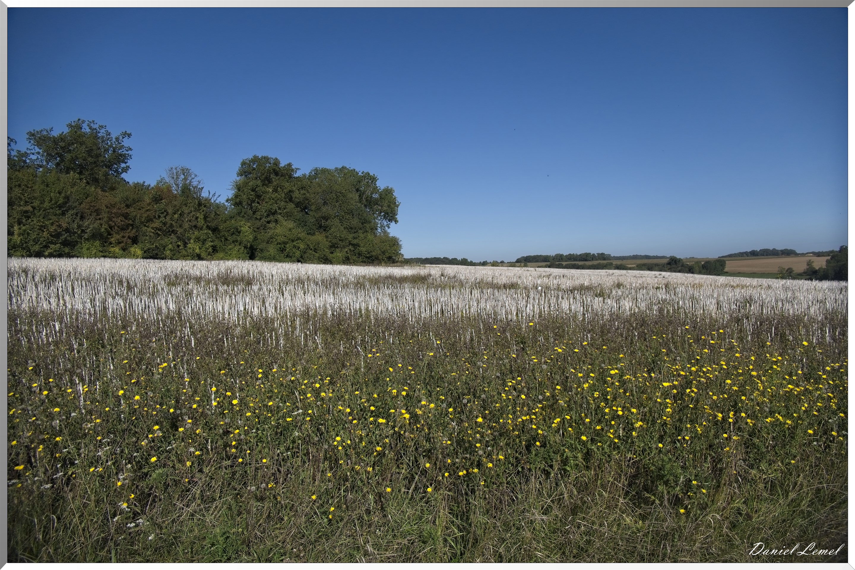 Dampsmesnil