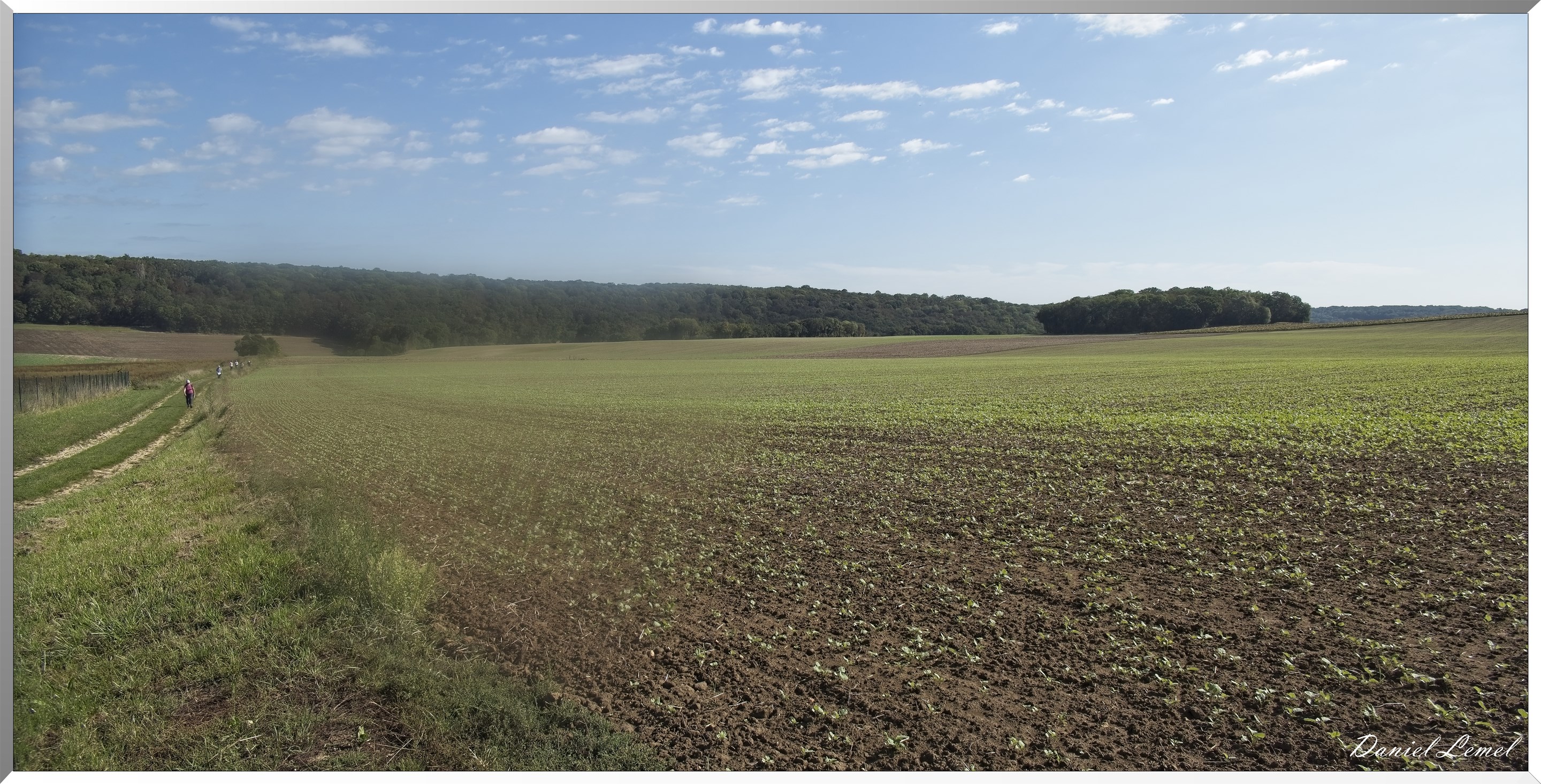 Dampsmesnil