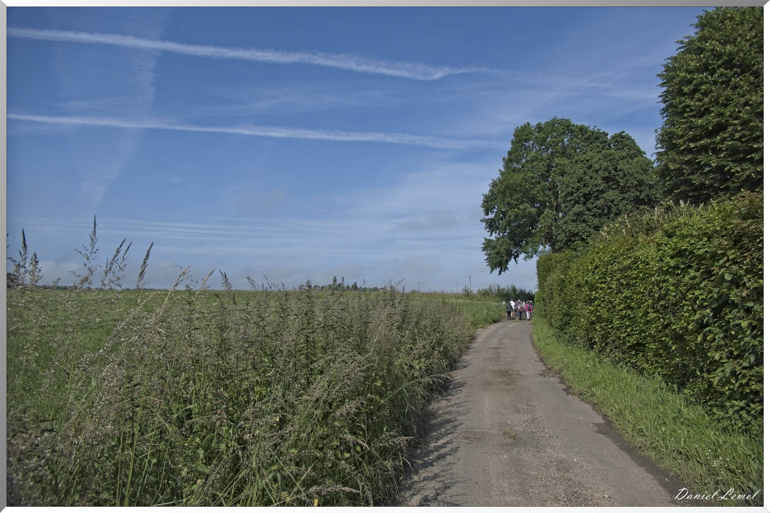Les-Guinets