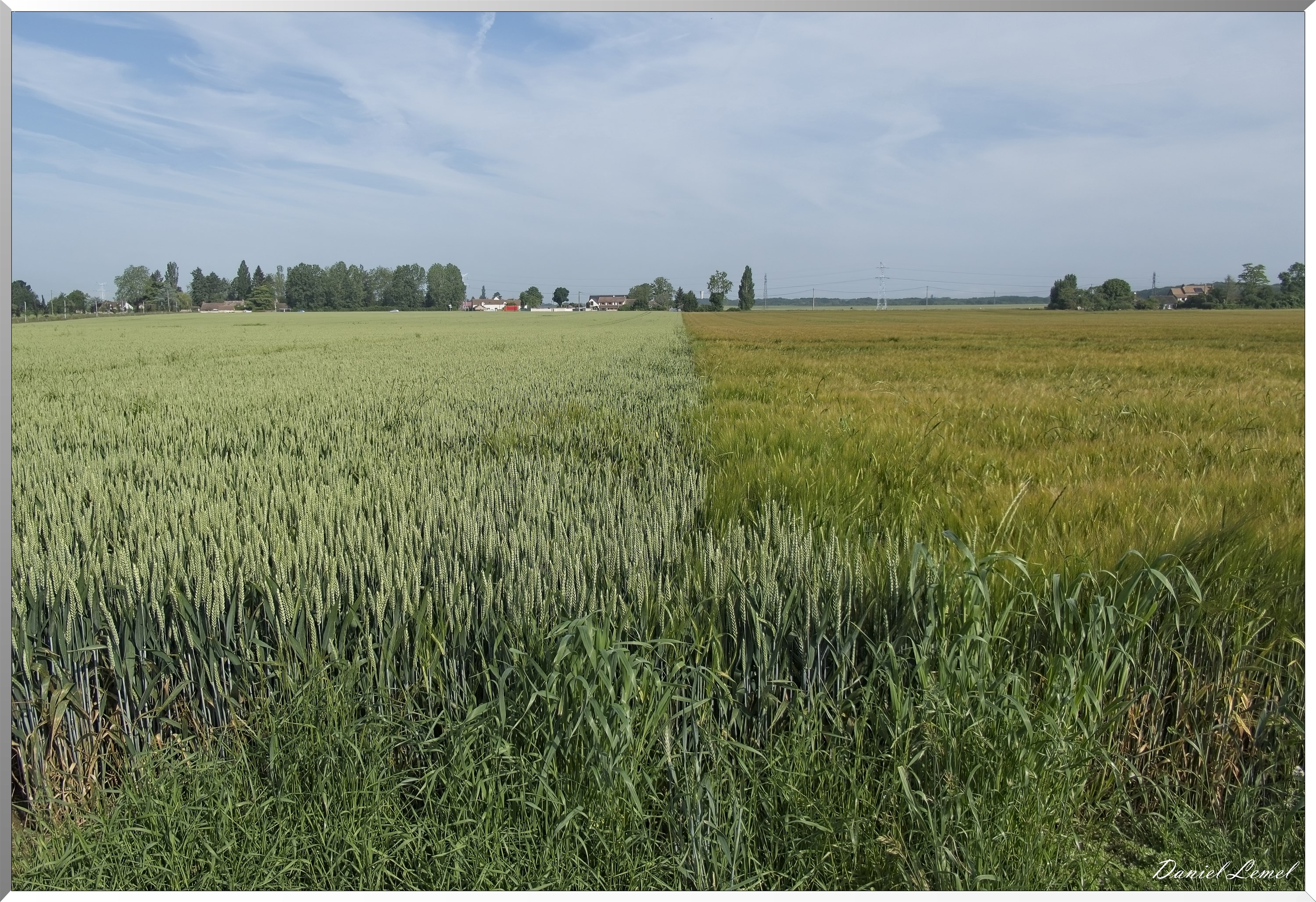 Les-Guinets