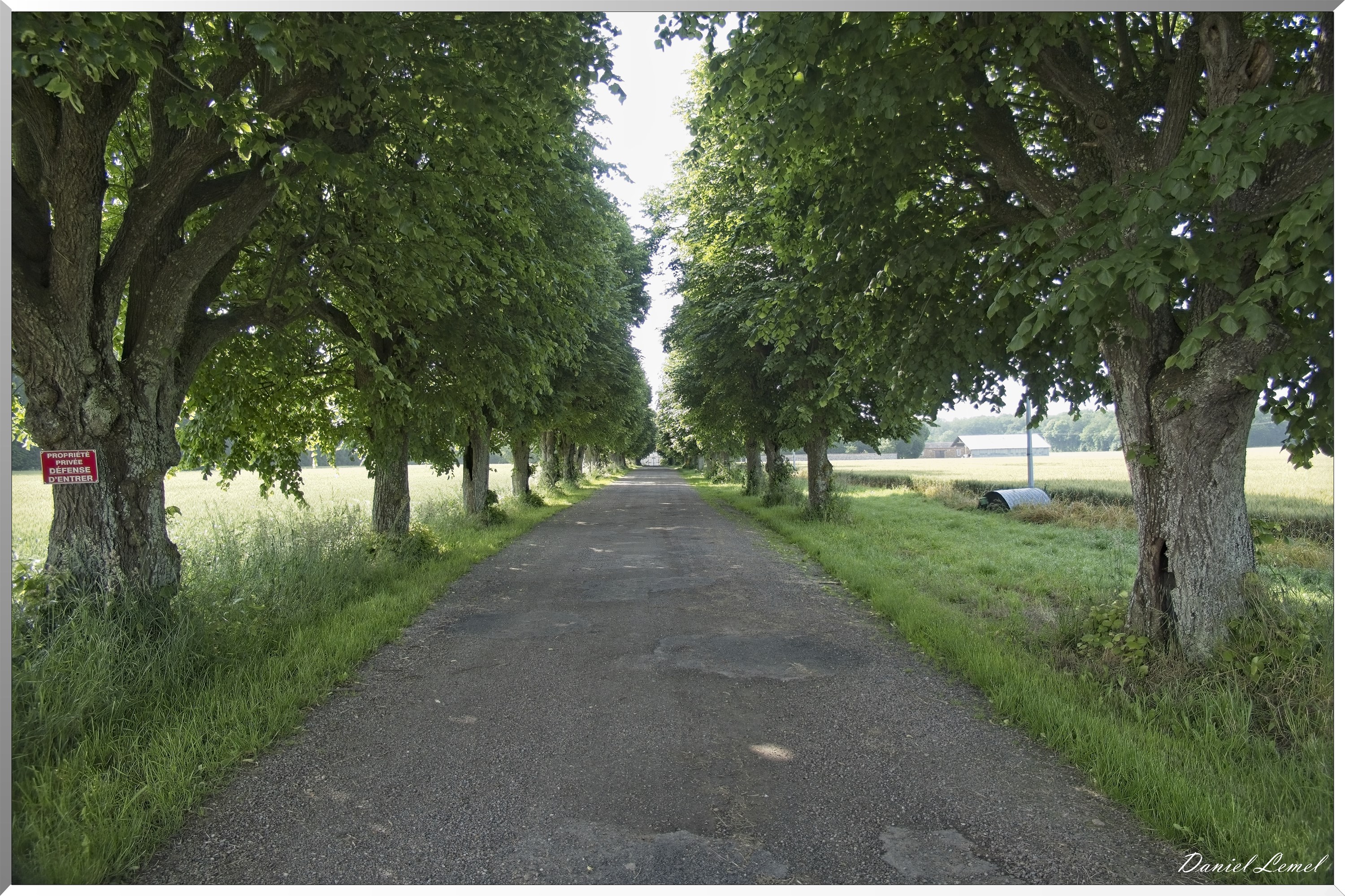 Les-Guinets