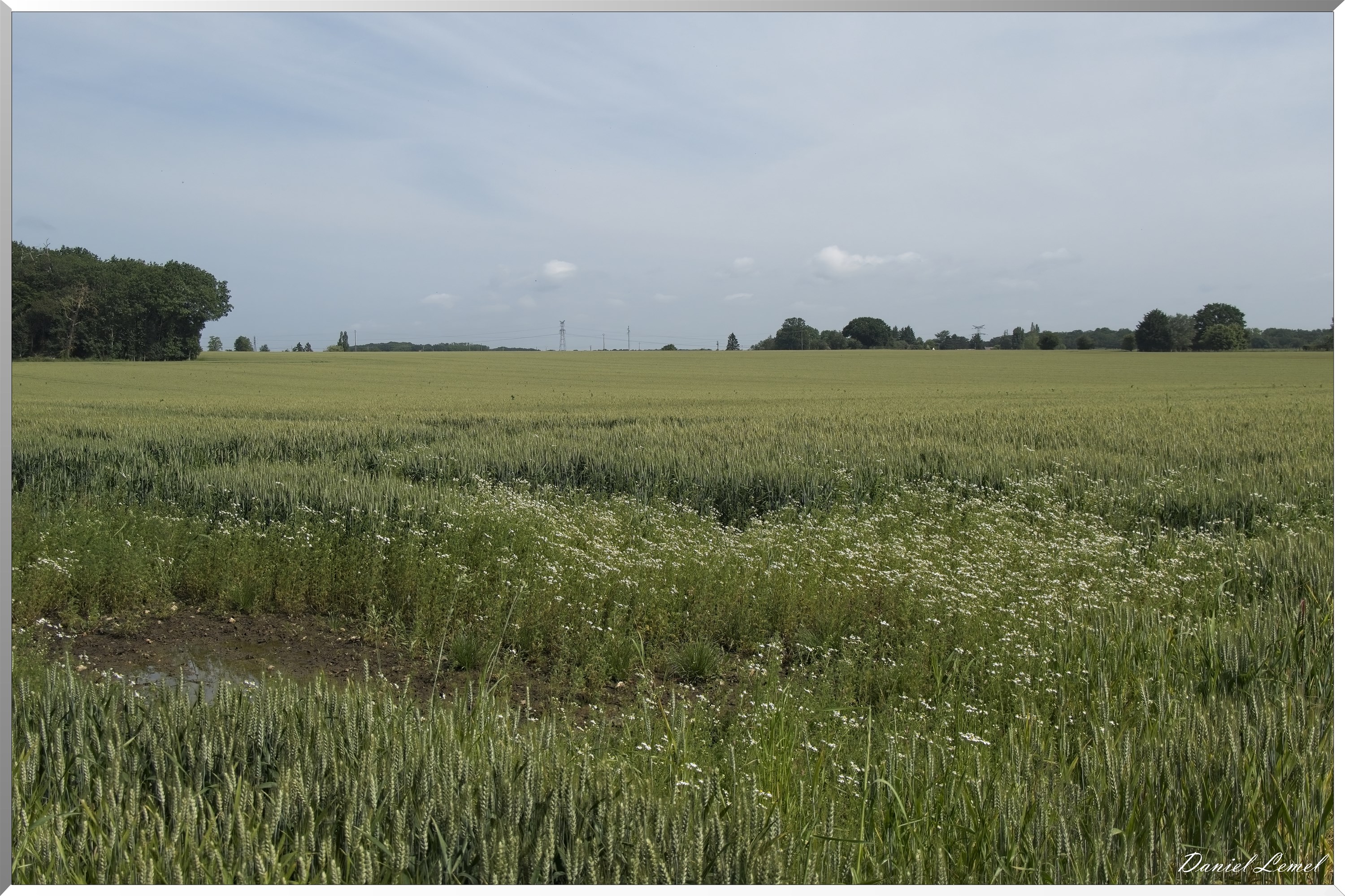 Les-Guinets