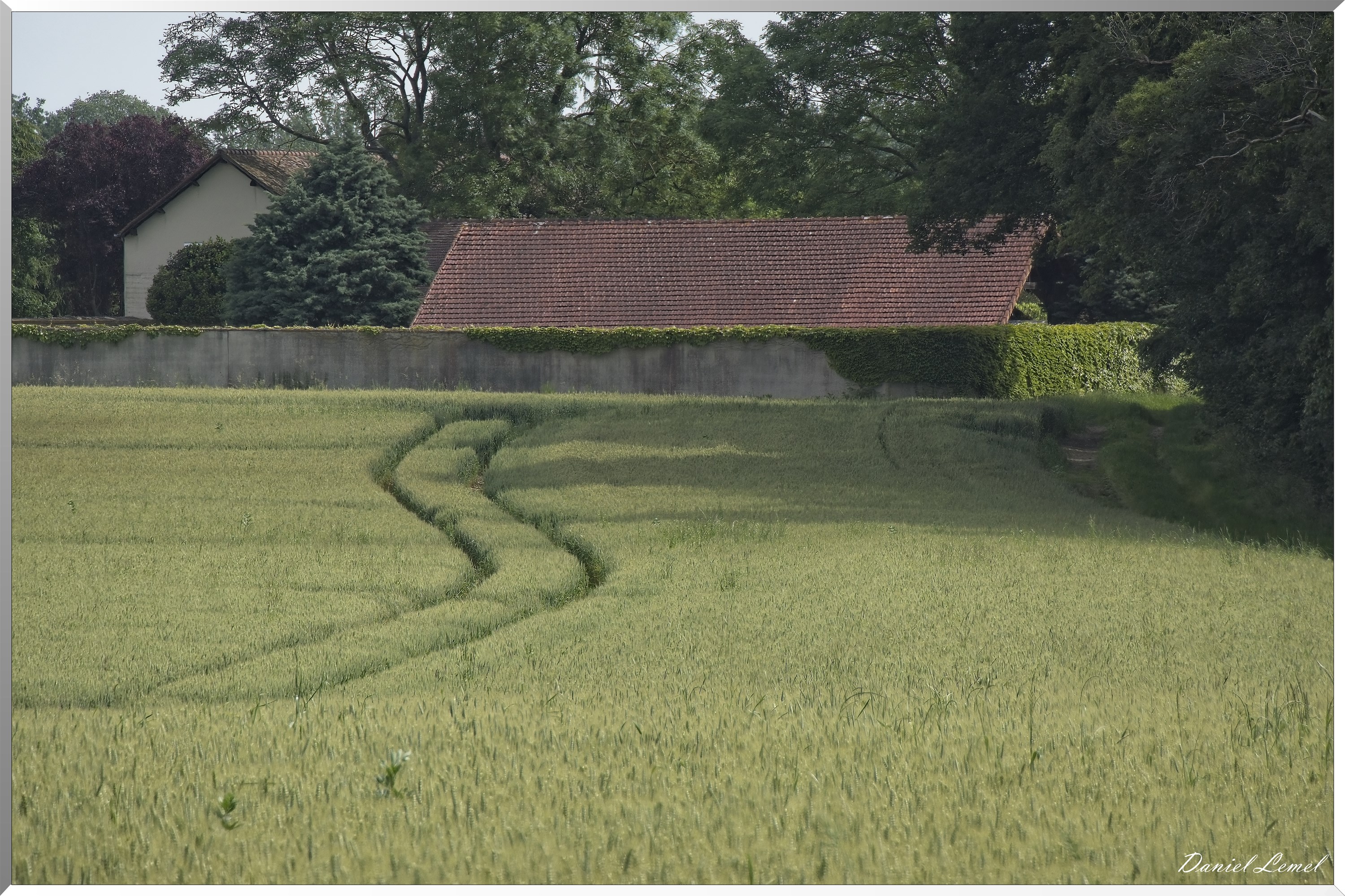 Les-Guinets