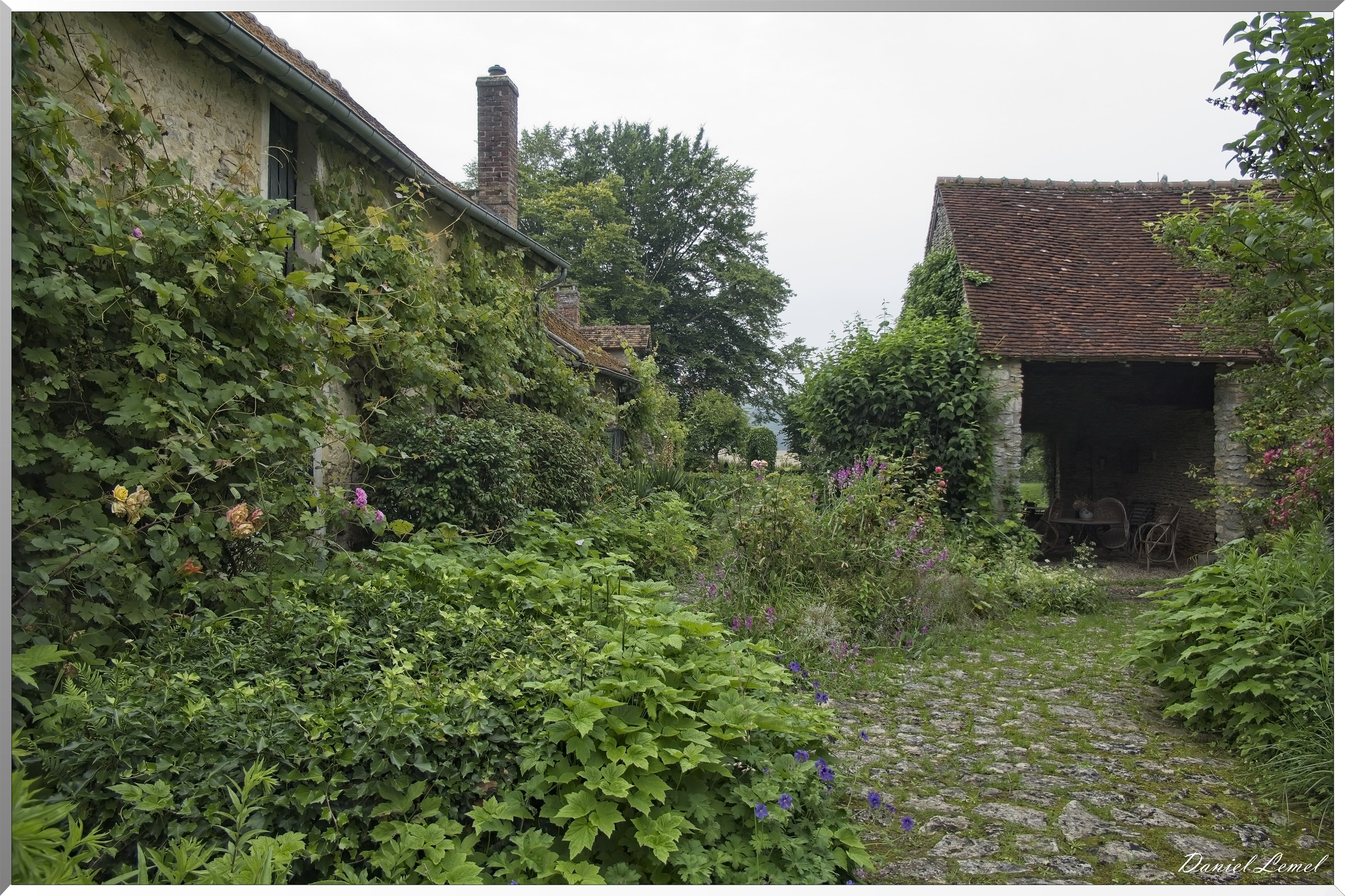 Dampmesnil