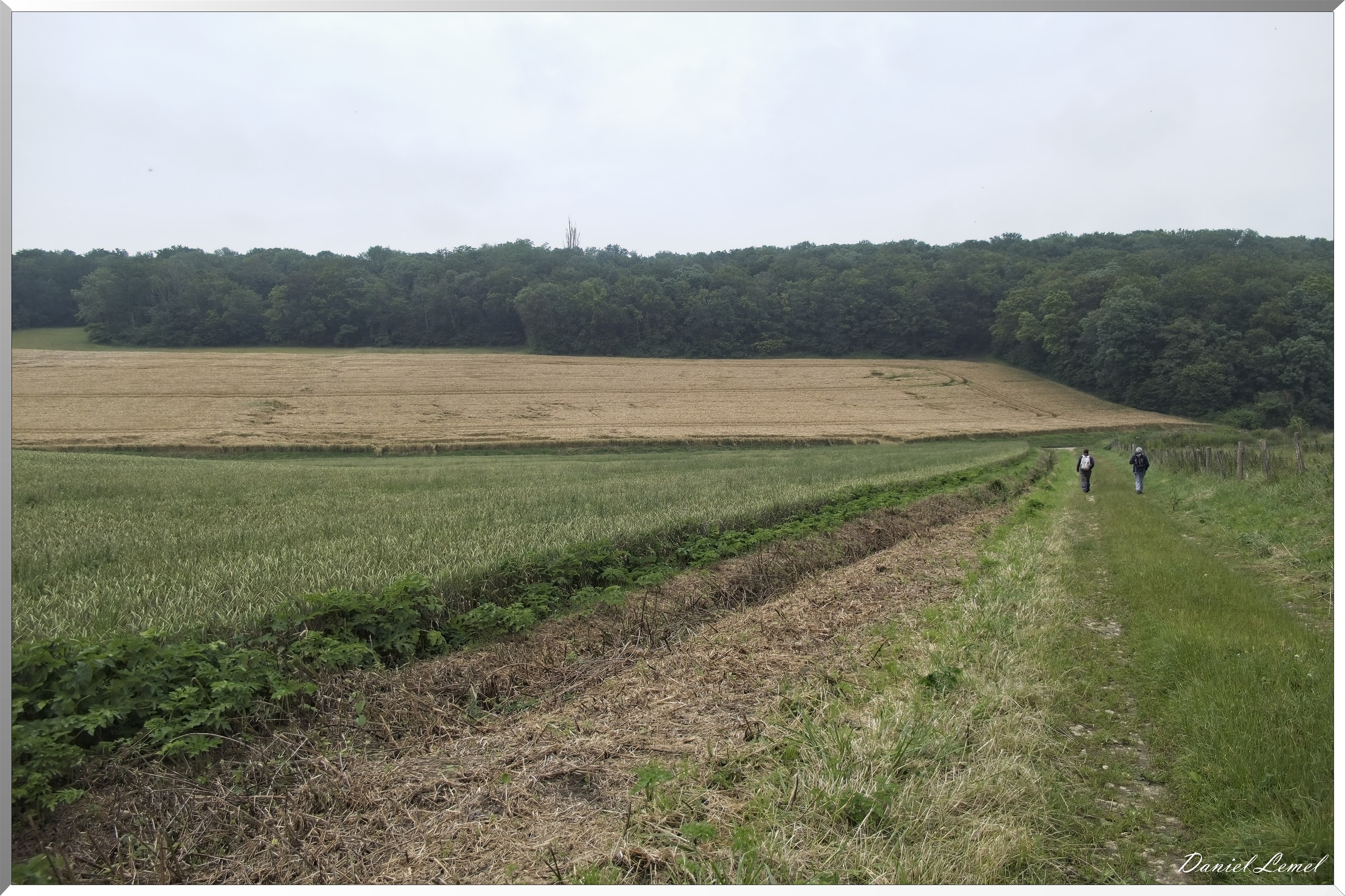 Dampmesnil