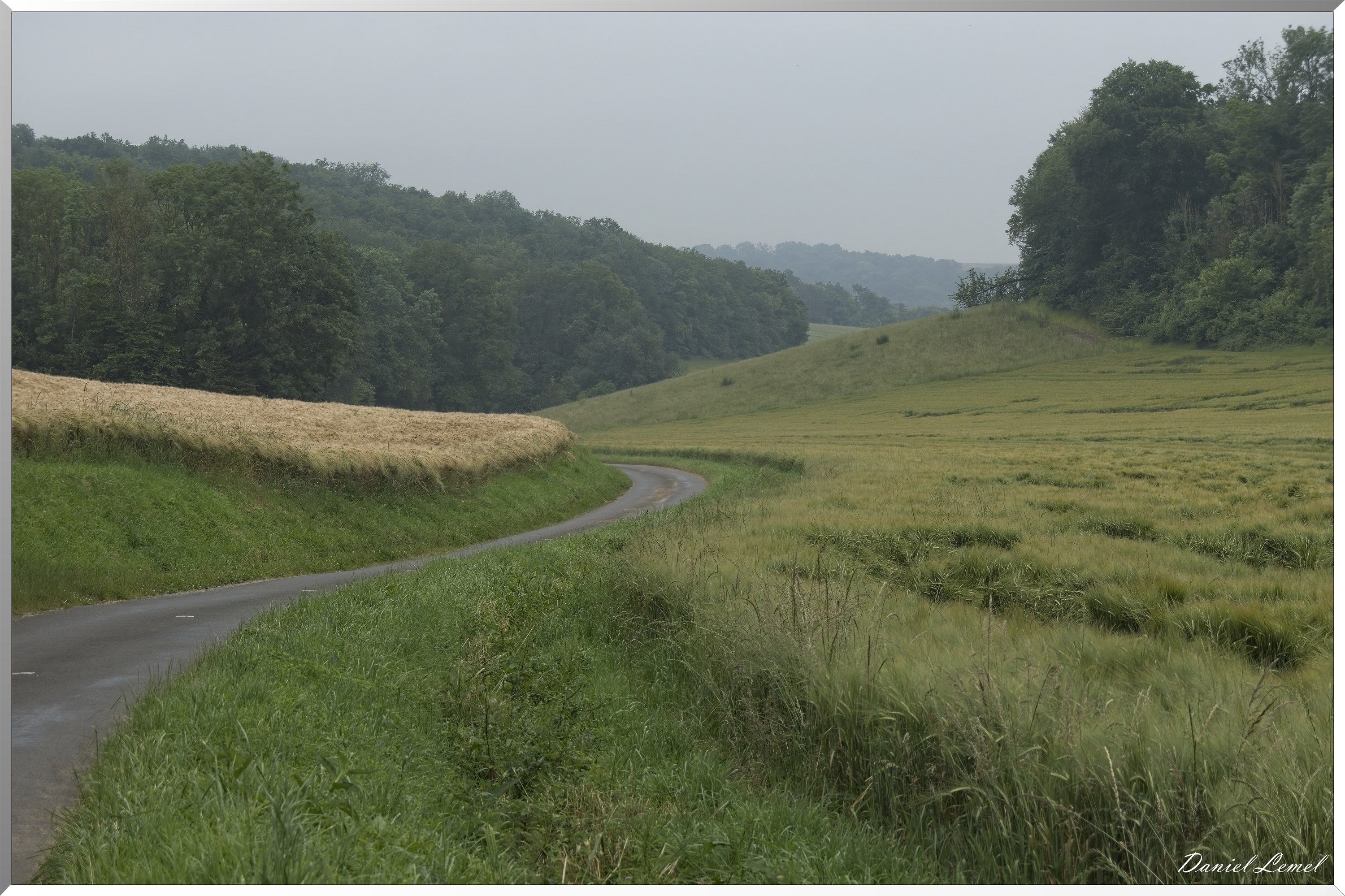Dampmesnil