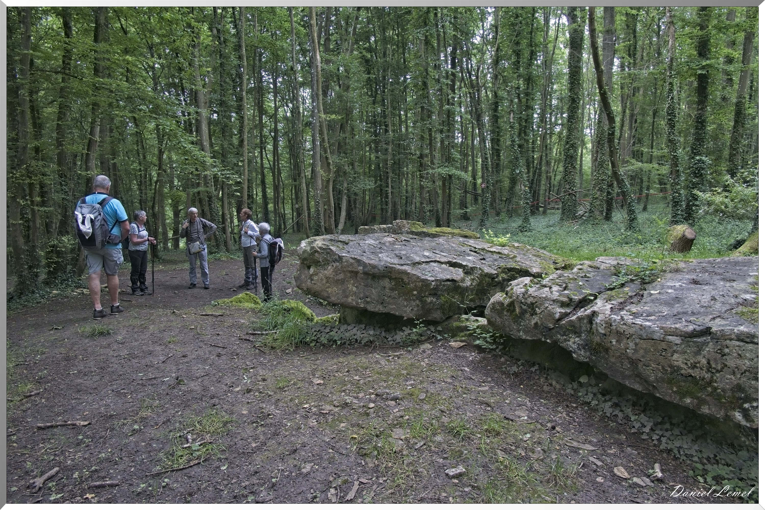 Dampmesnil