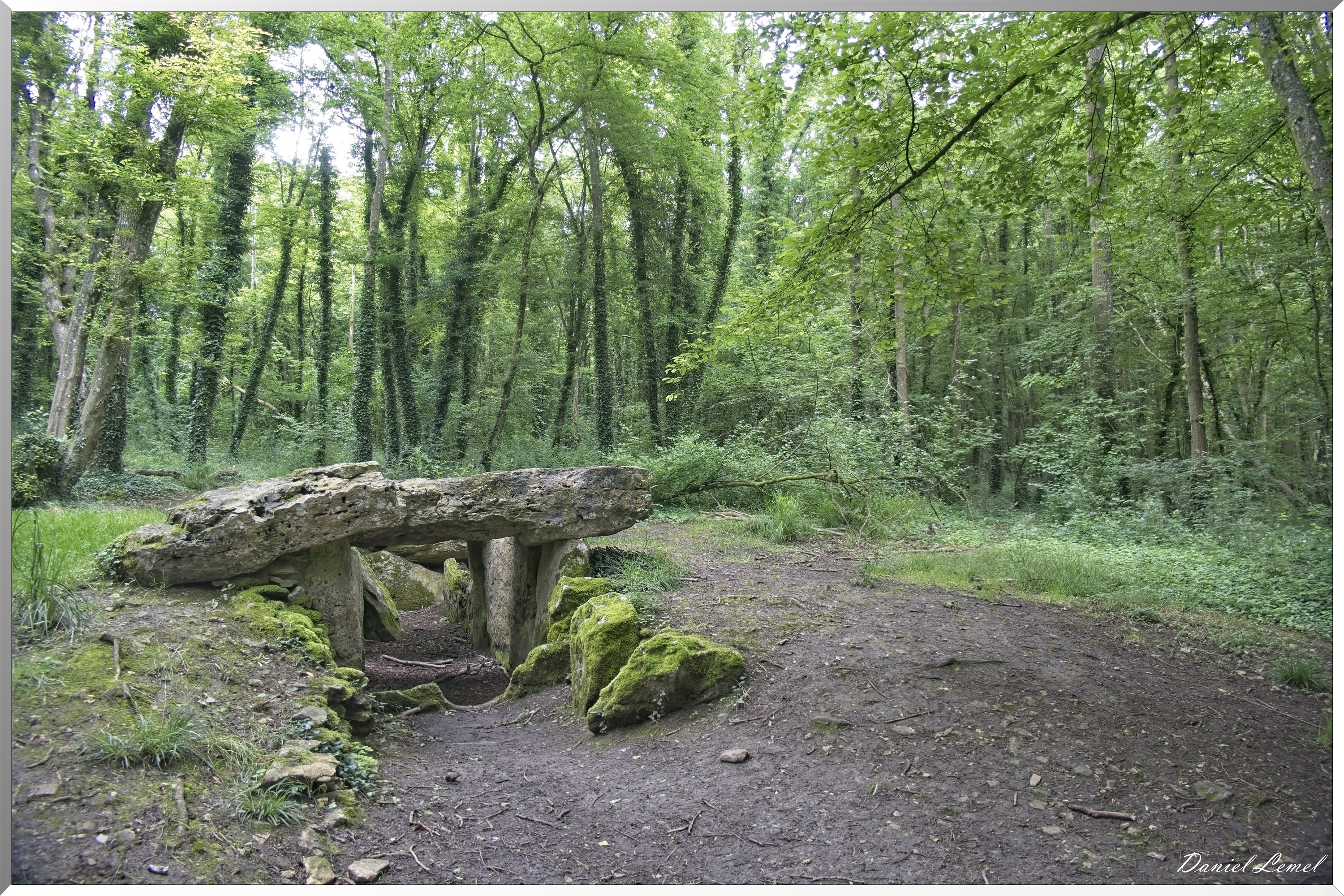 Dampmesnil