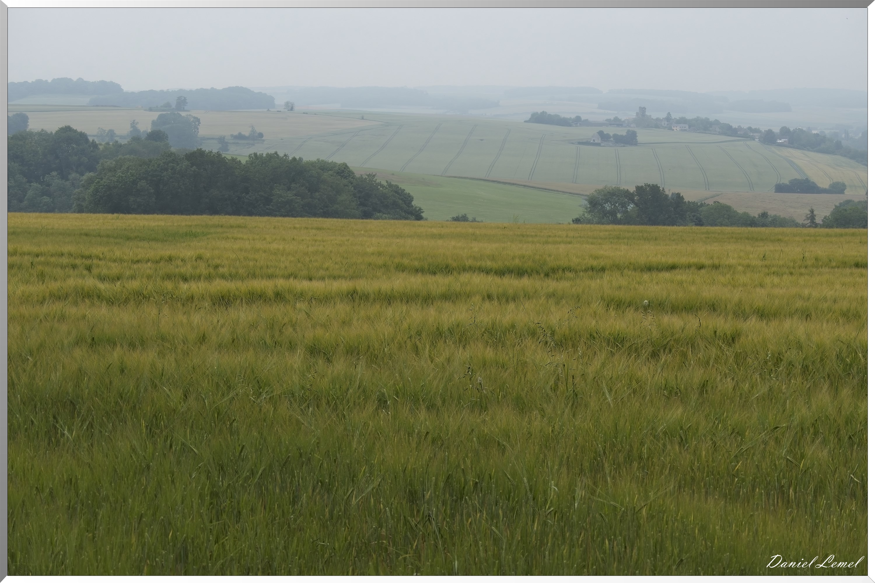 Dampmesnil