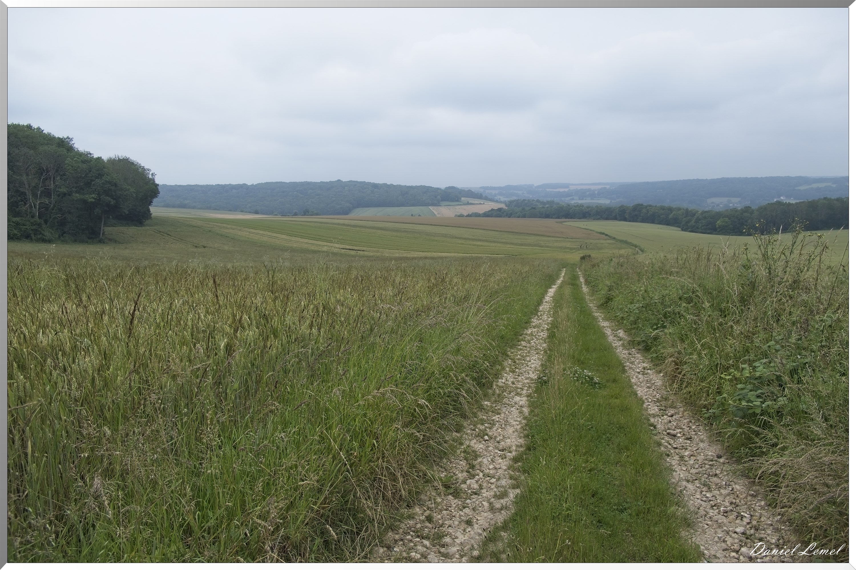 Dampmesnil