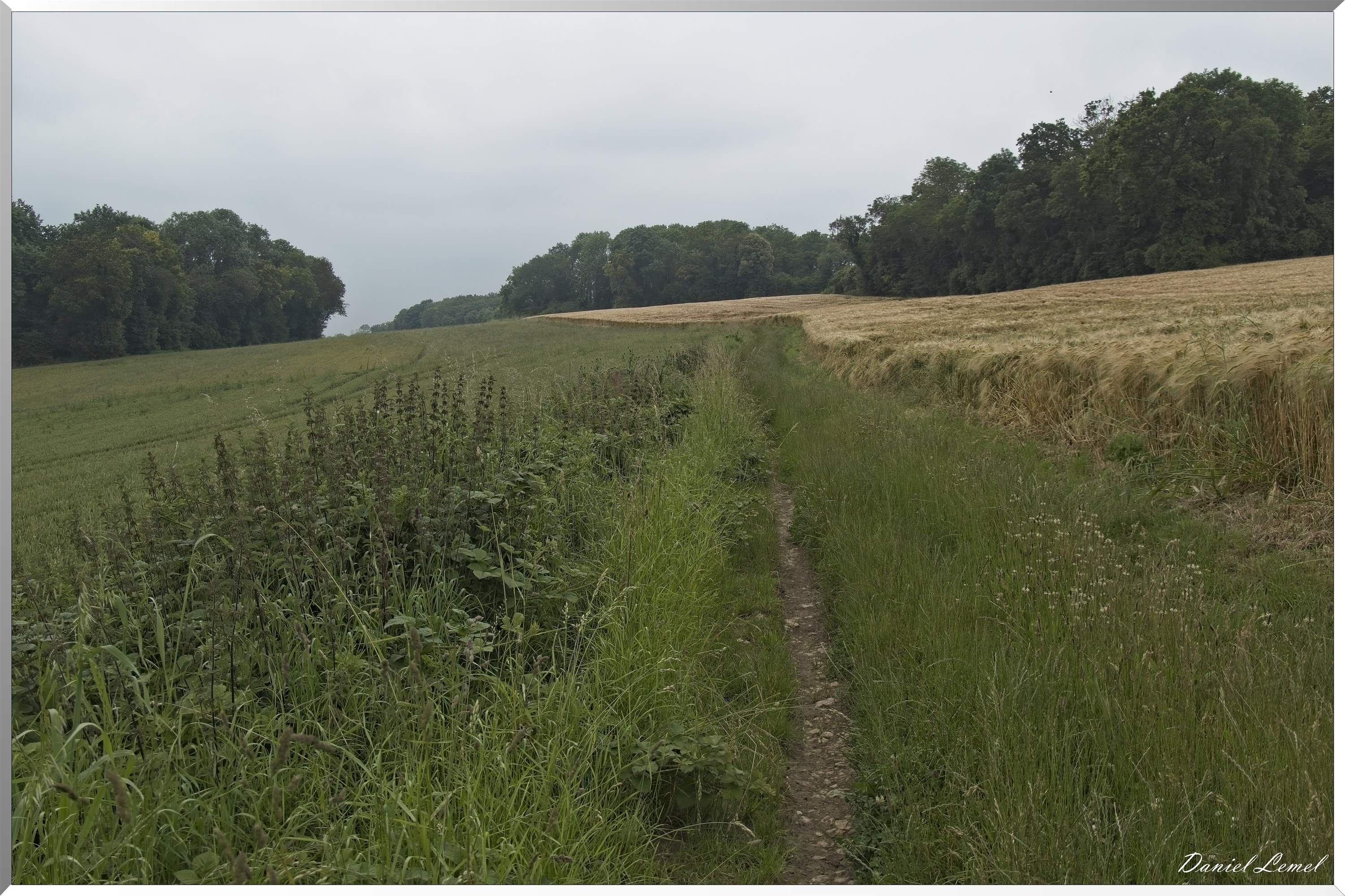 Dampmesnil