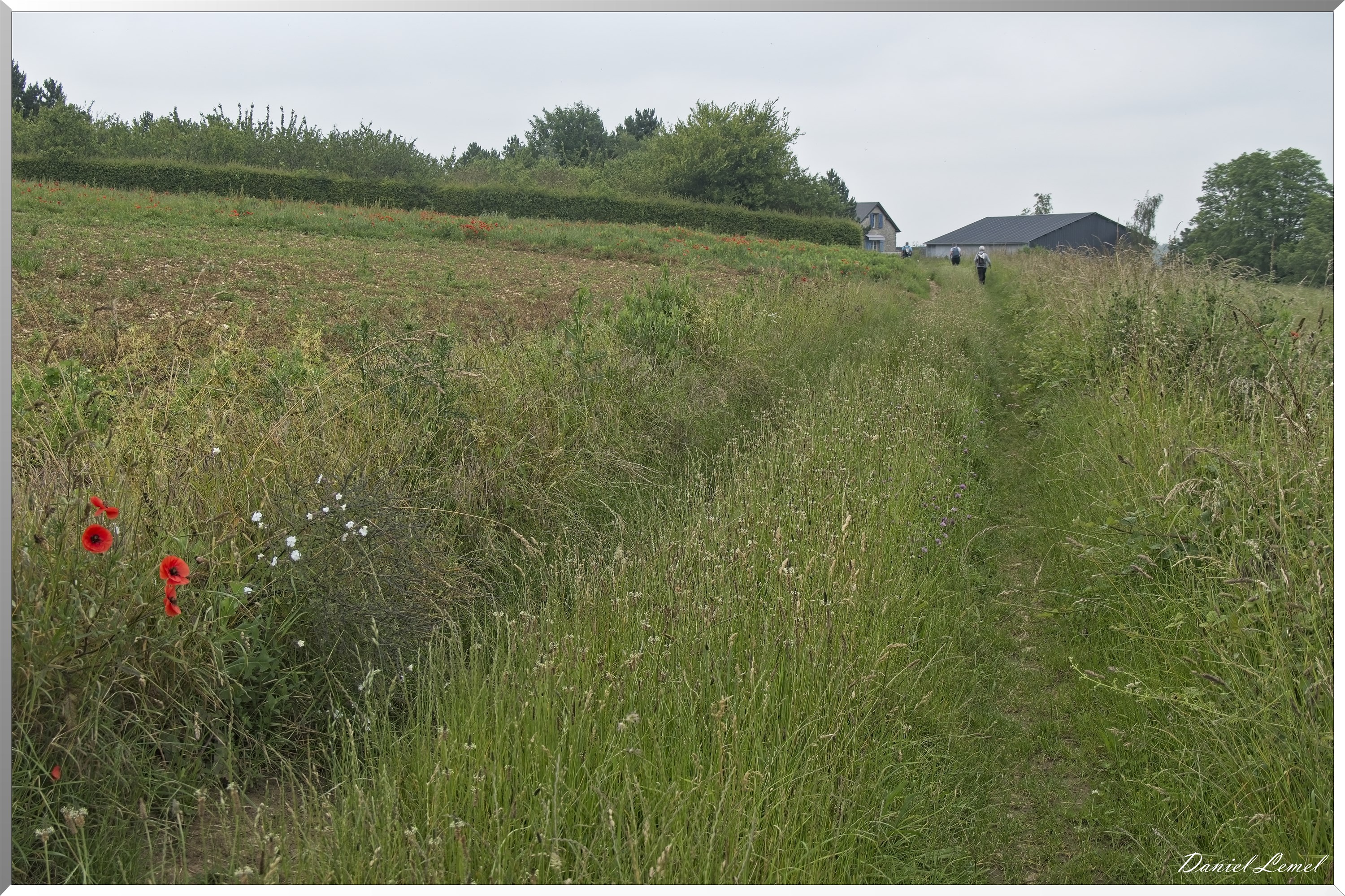 Dampmesnil