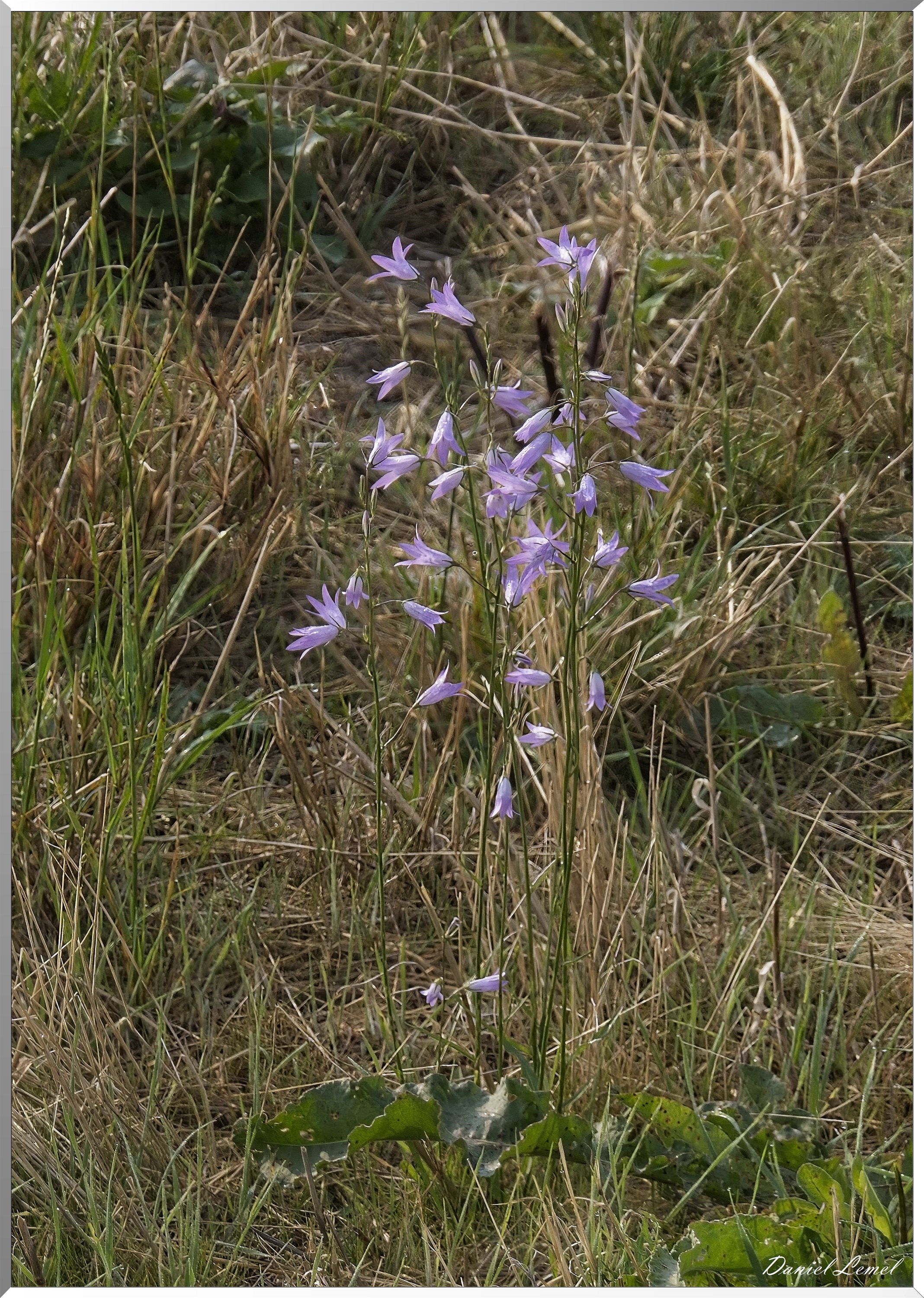 La-Chapelle-Réanville