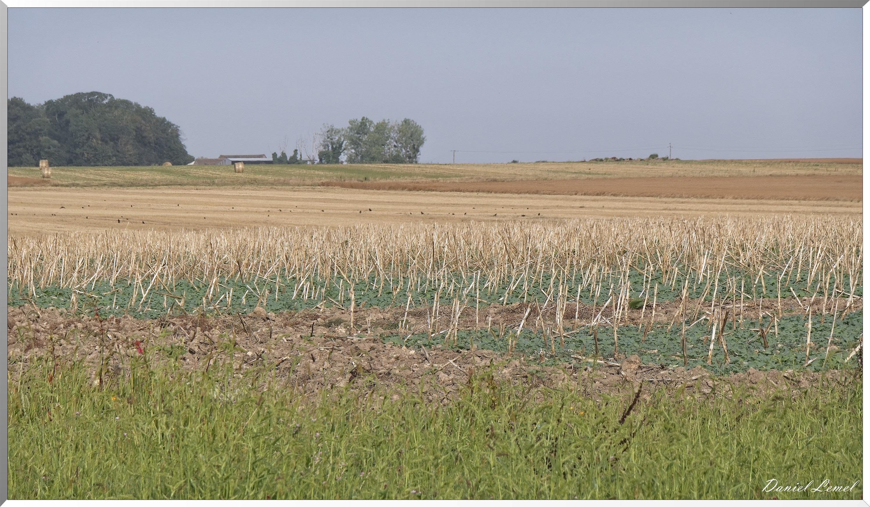 La-Chapelle-Réanville