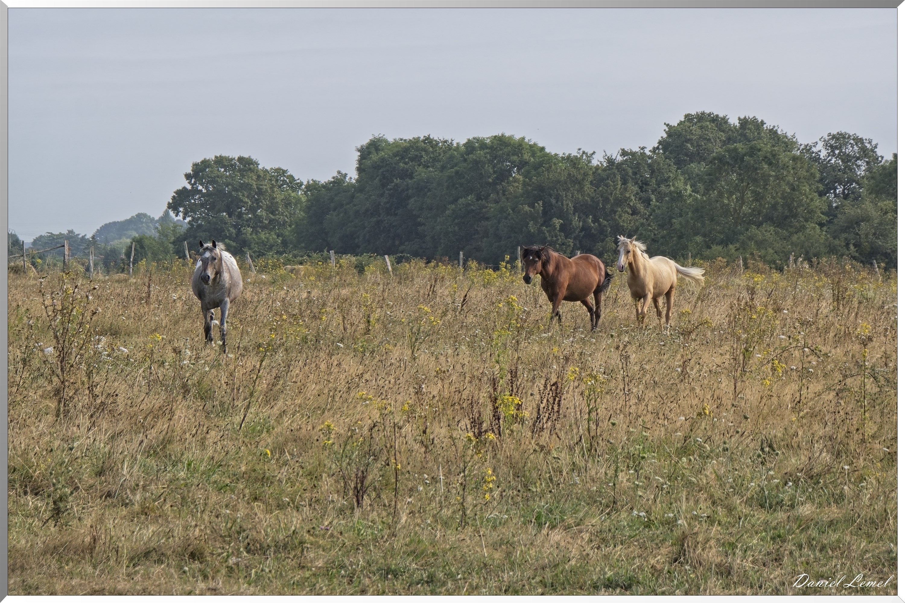 La-Chapelle-Réanville