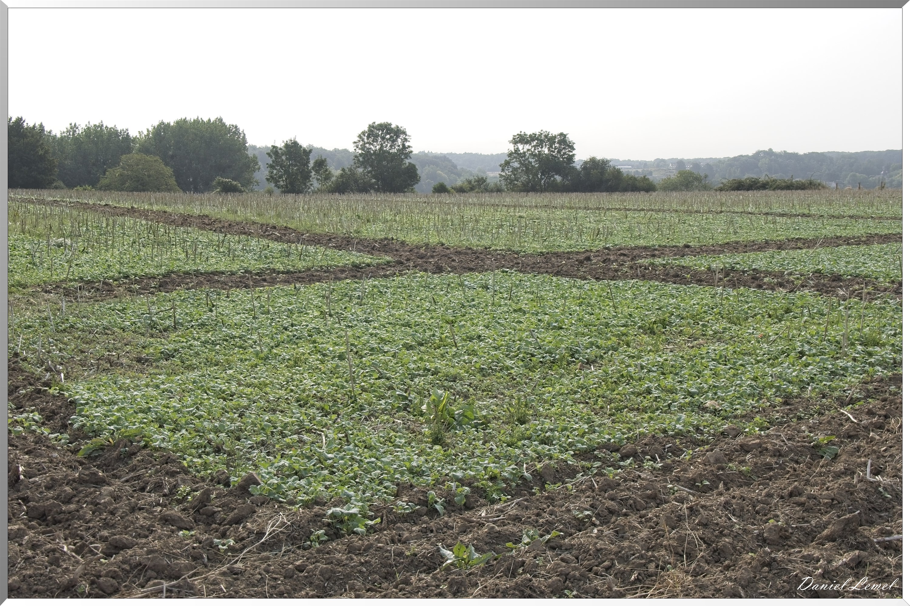 La-Chapelle-Réanville