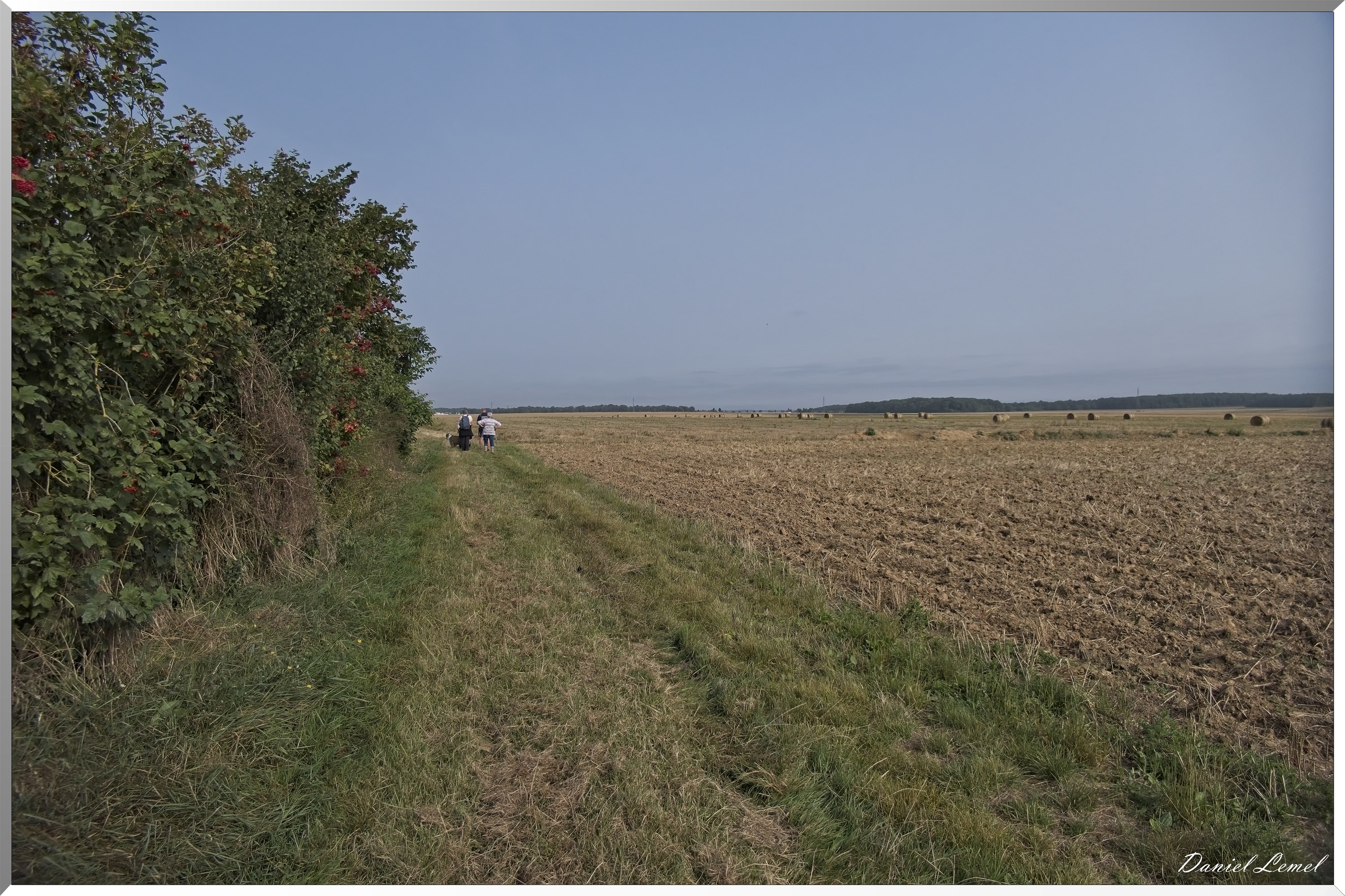 La-Chapelle-Réanville