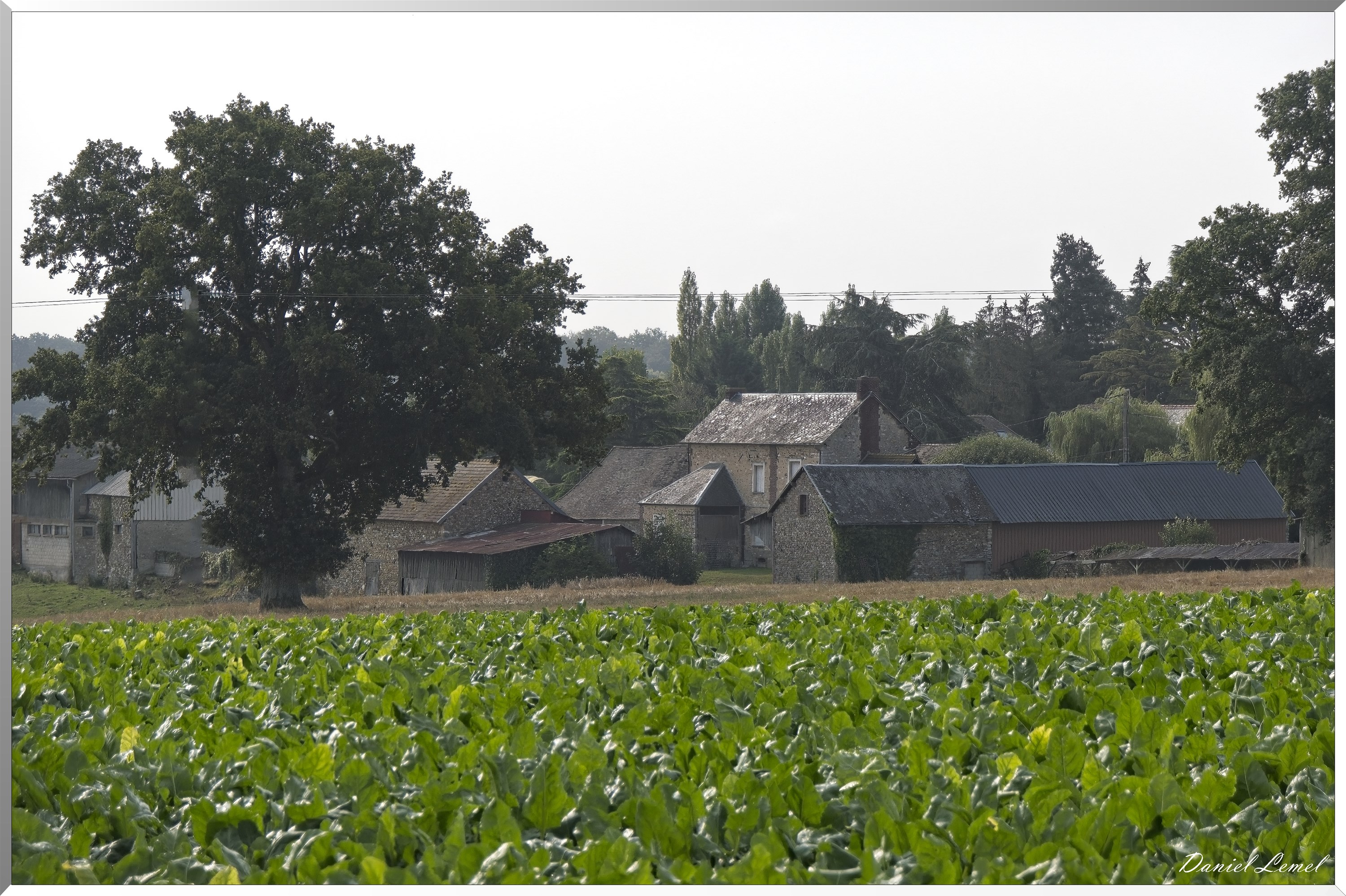 La-Chapelle-Réanville