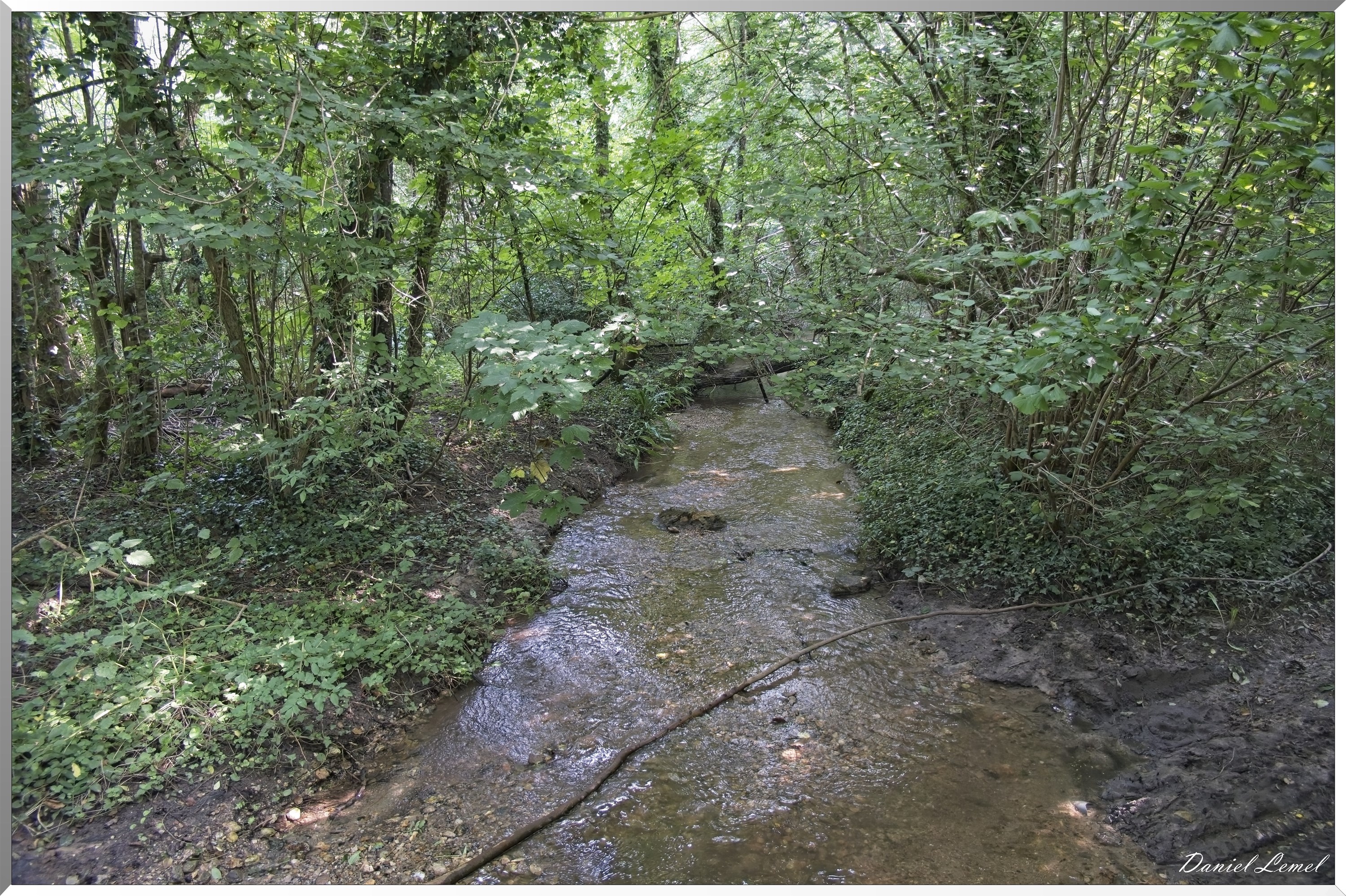La-Chapelle-Réanville