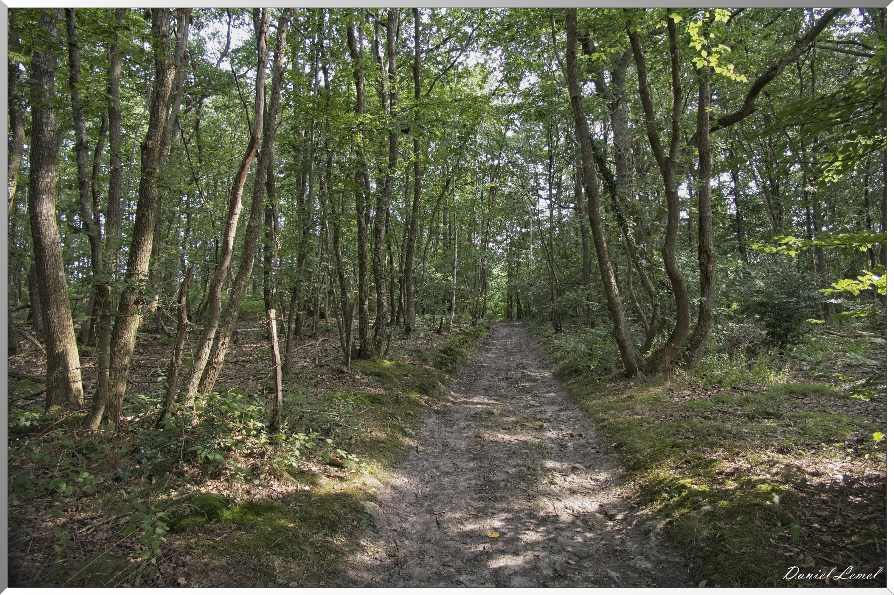 La-Chapelle-Réanville