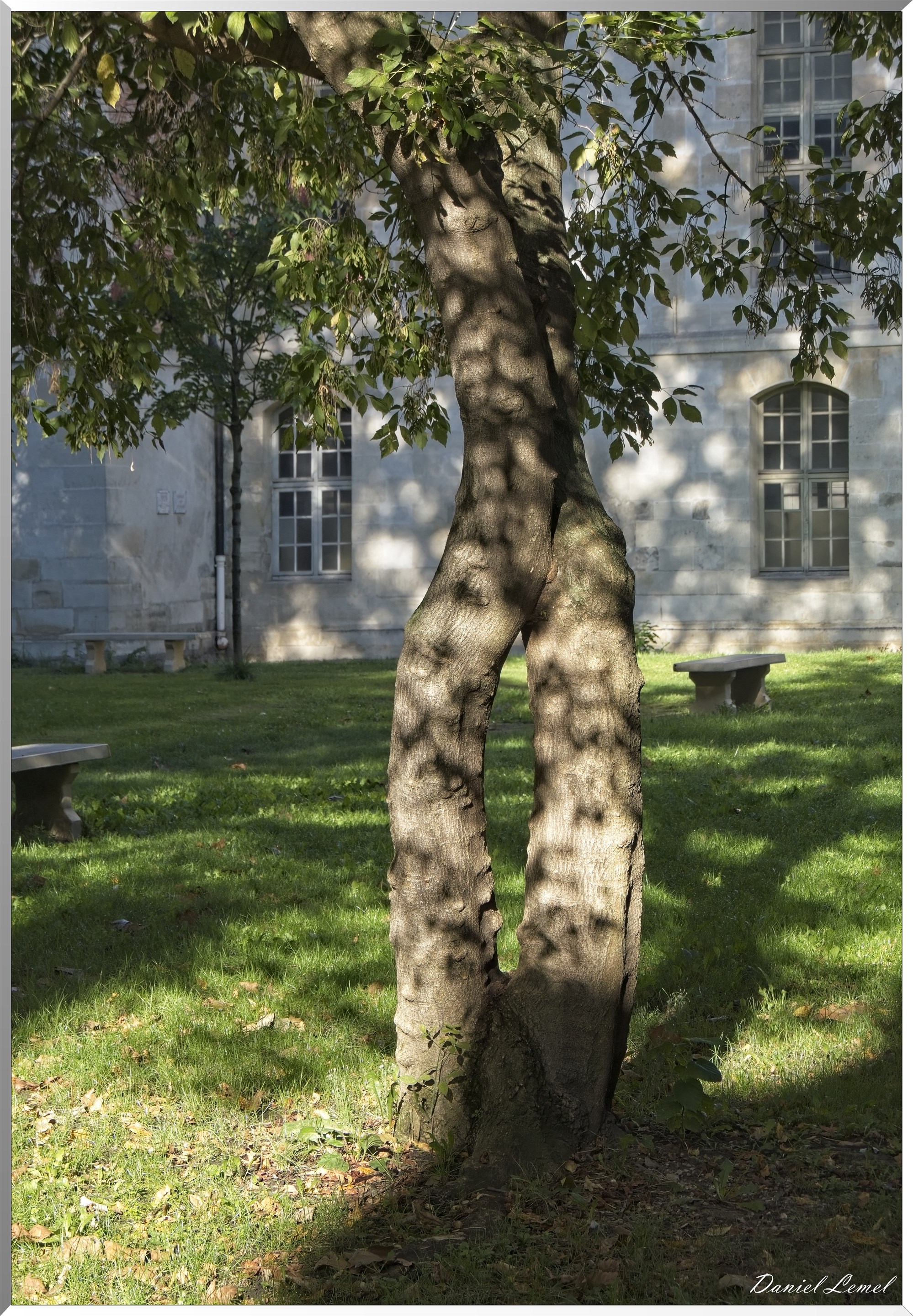 Hôpital  Saint-Louis