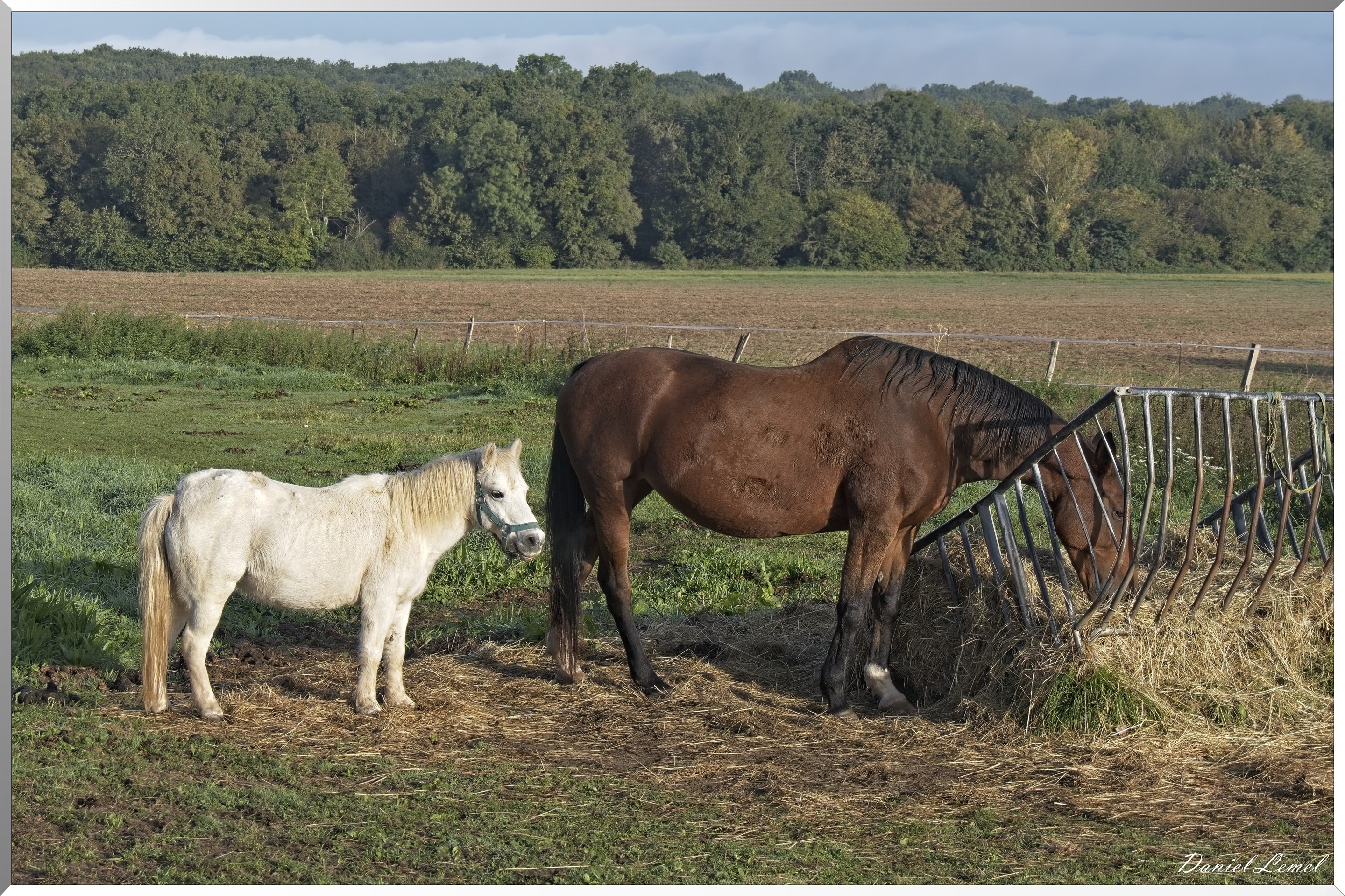 Villers-sur-le-Roule