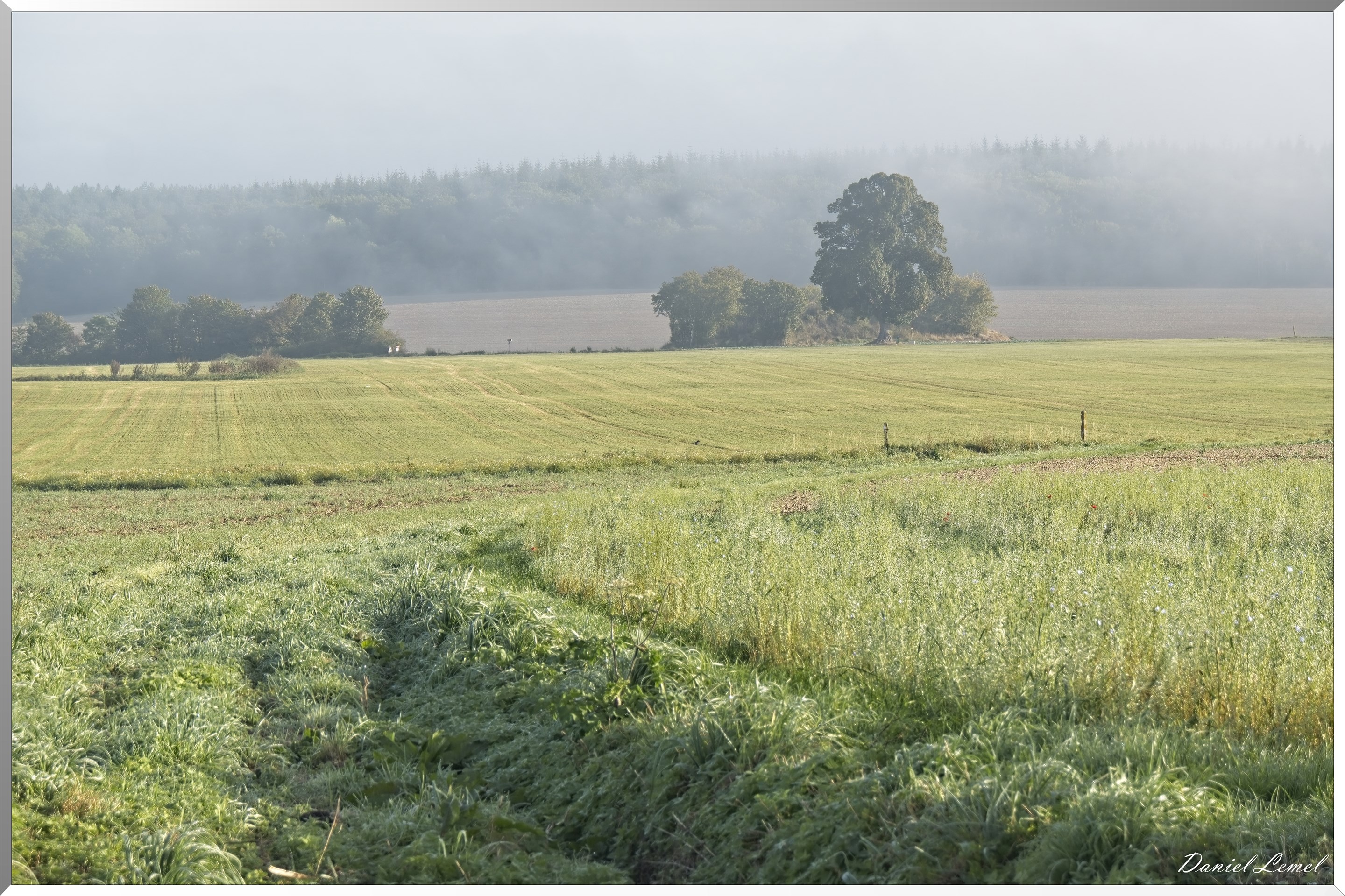 Villers-sur-le-Roule