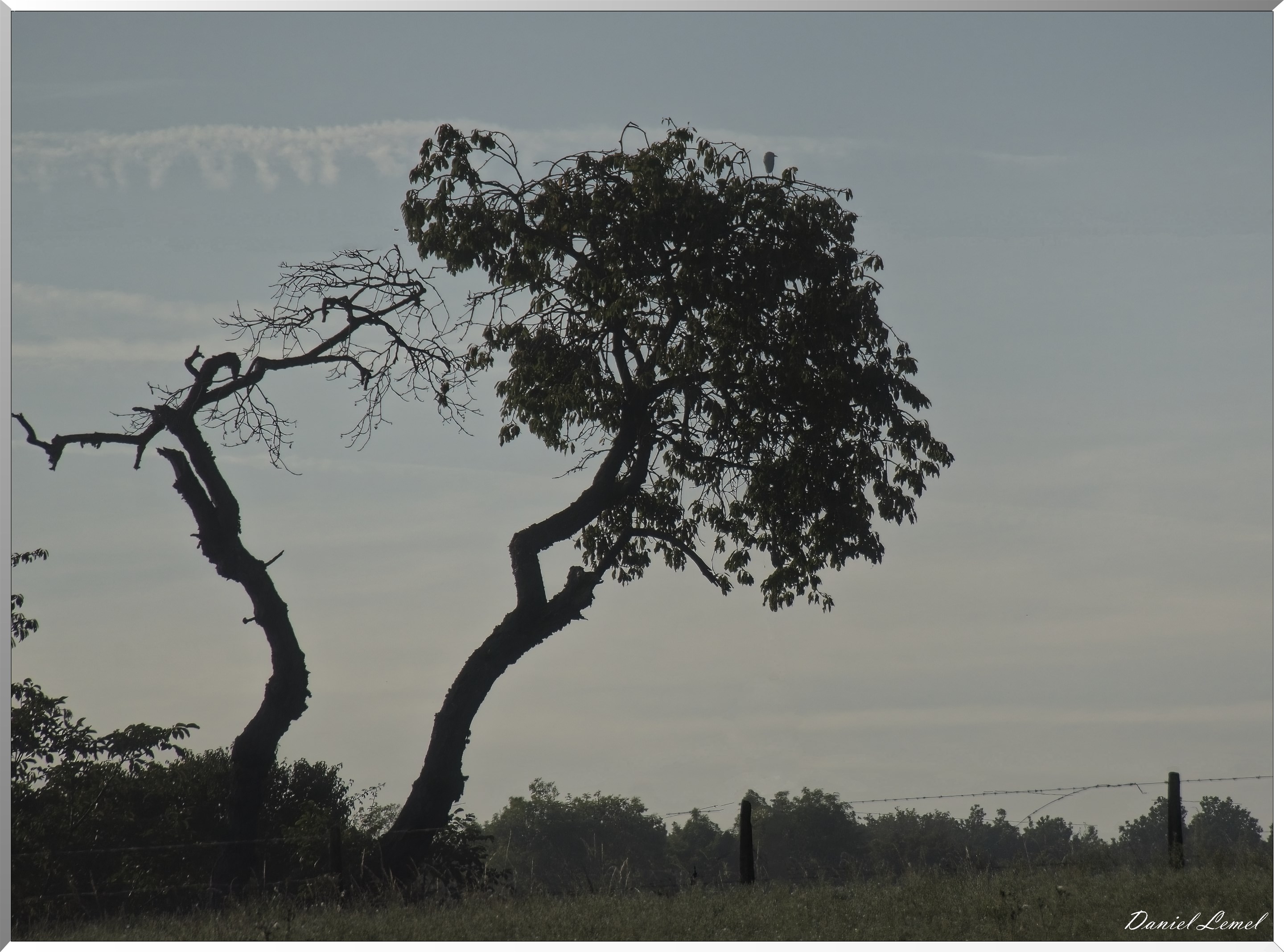 Villers-sur-le-Roule
