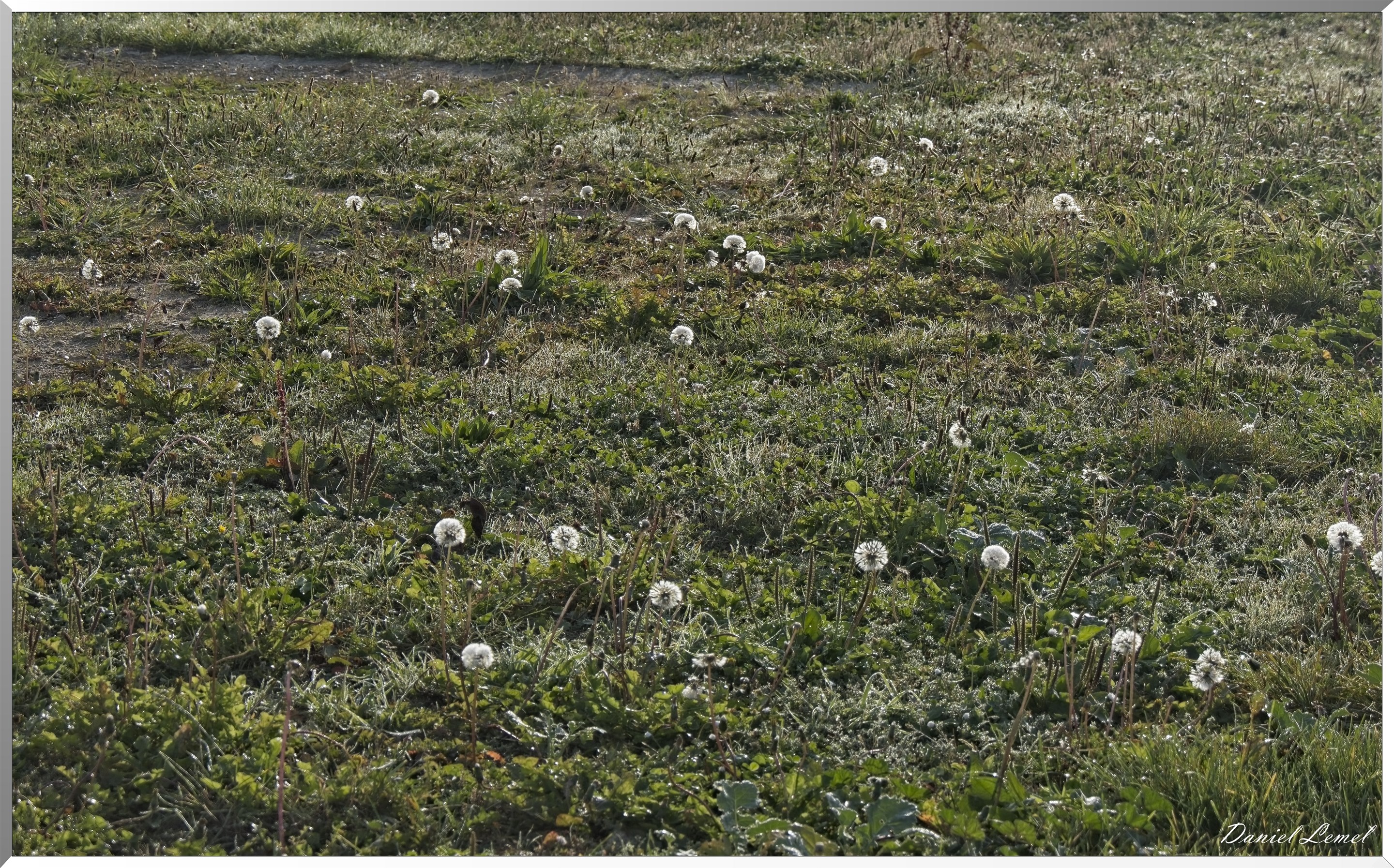 Villers-sur-le-Roule