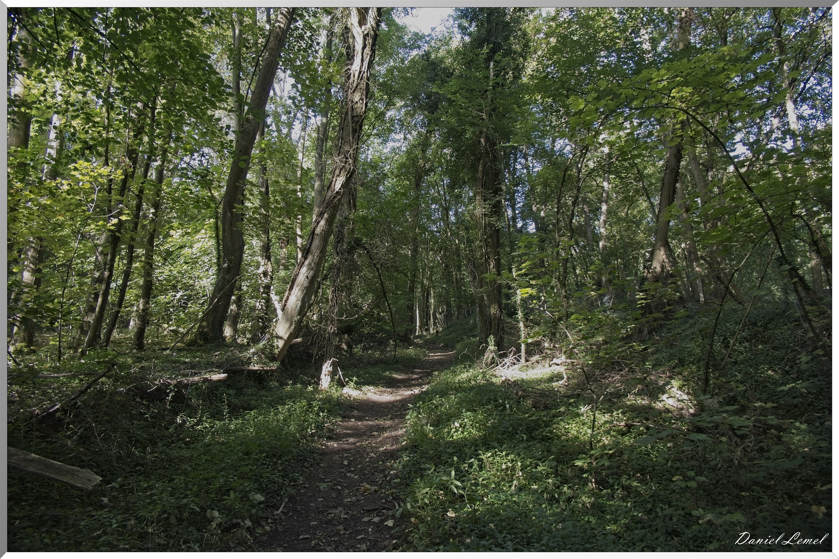 Villers-sur-le-Roule