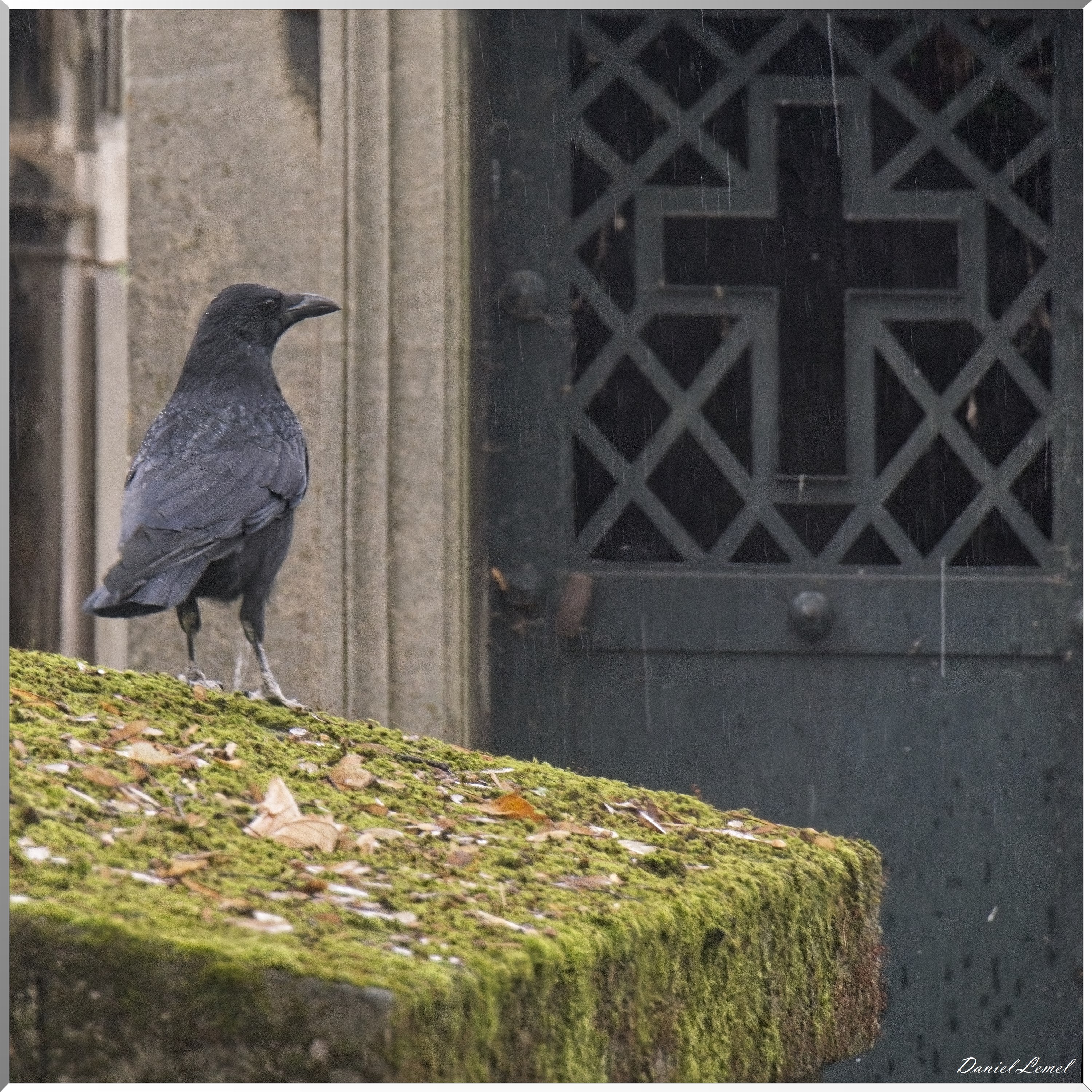 paris-Montmartre