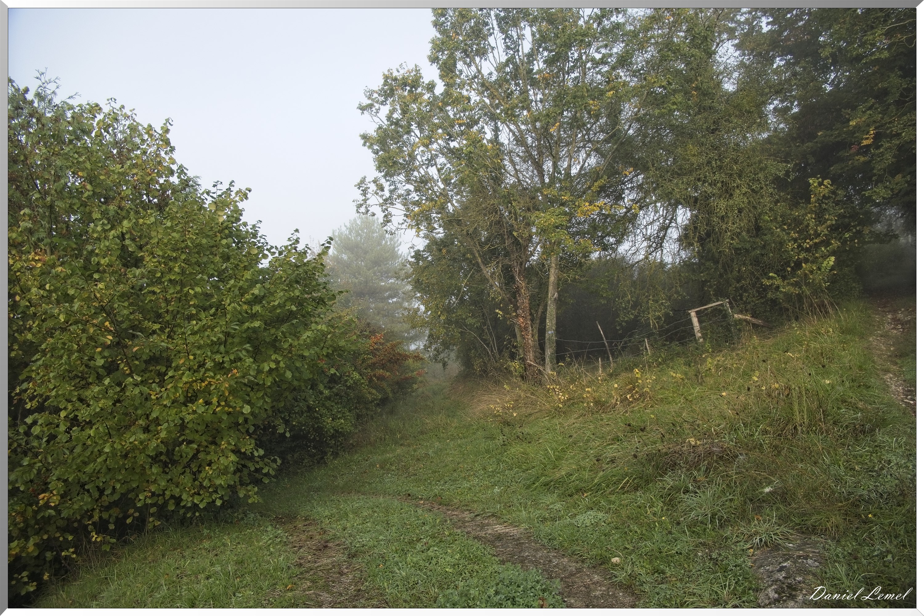 Ste-Geneviève-lès-Gasny