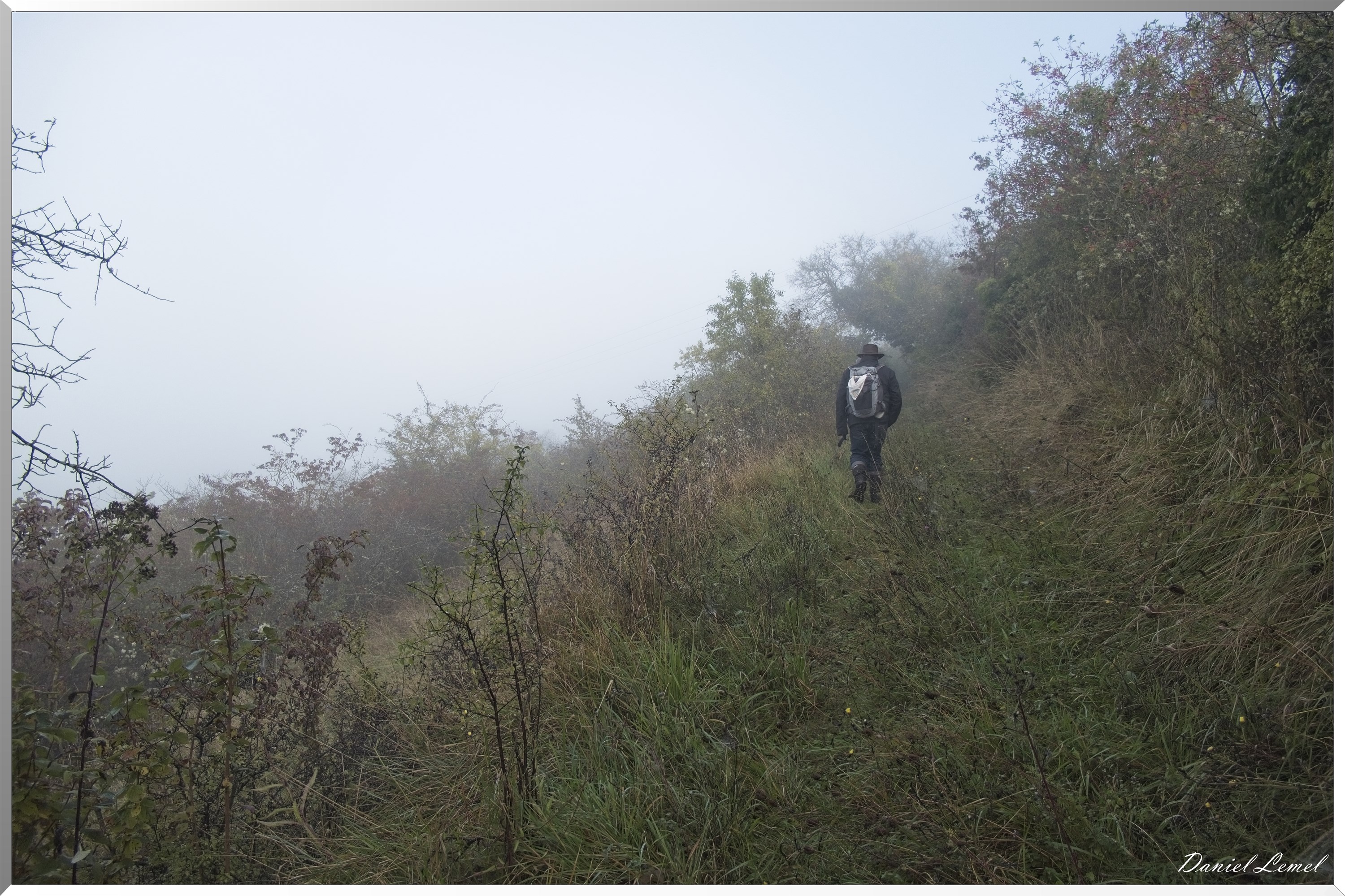 Ste-Geneviève-lès-Gasny