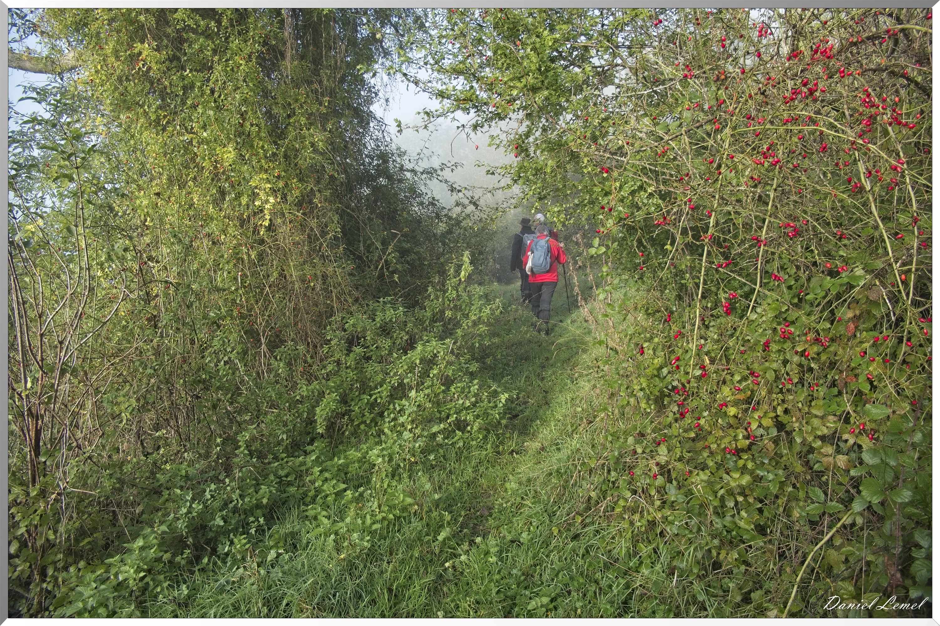 Ste-Geneviève-lès-Gasny