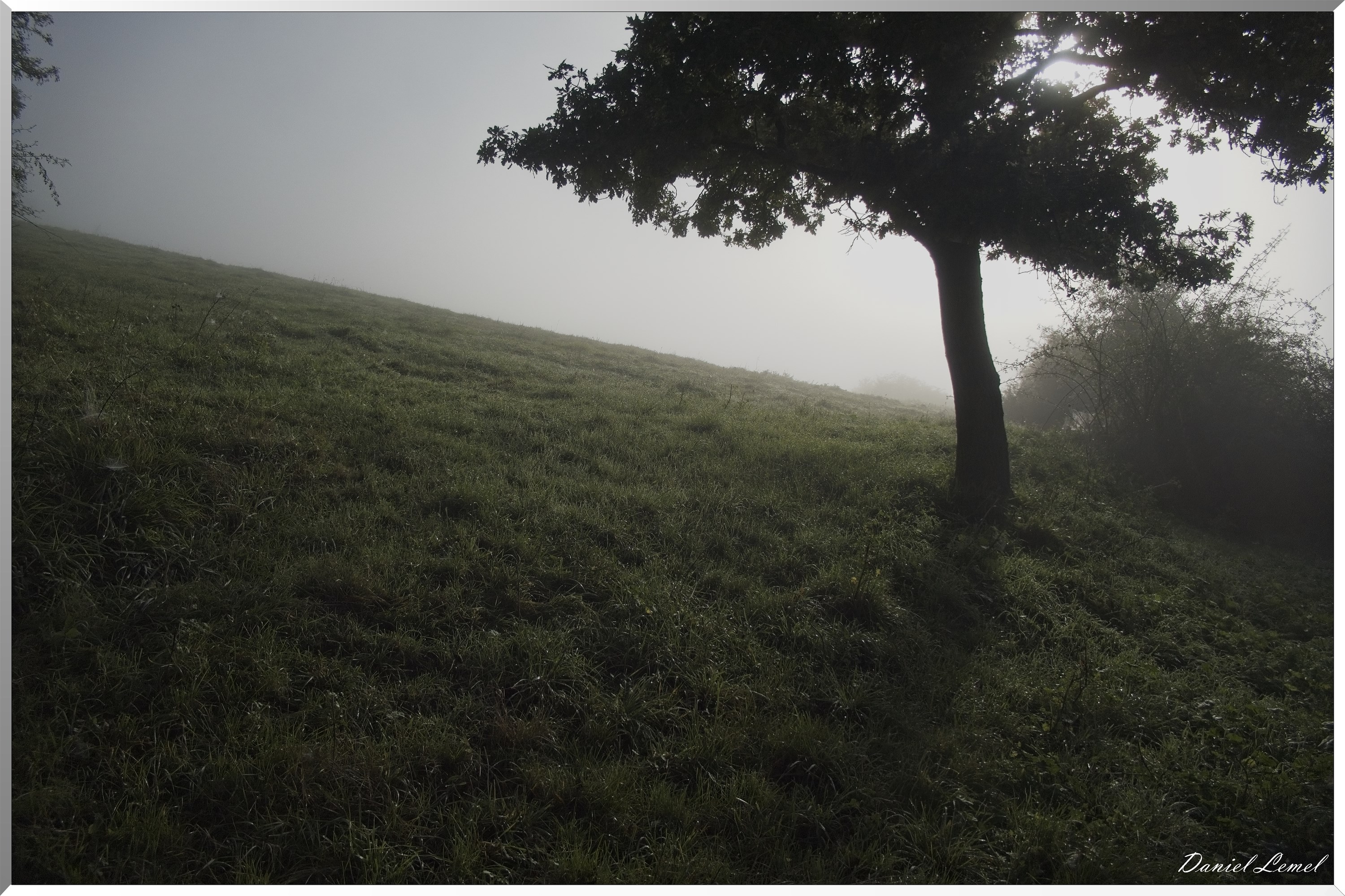 Ste-Geneviève-lès-Gasny