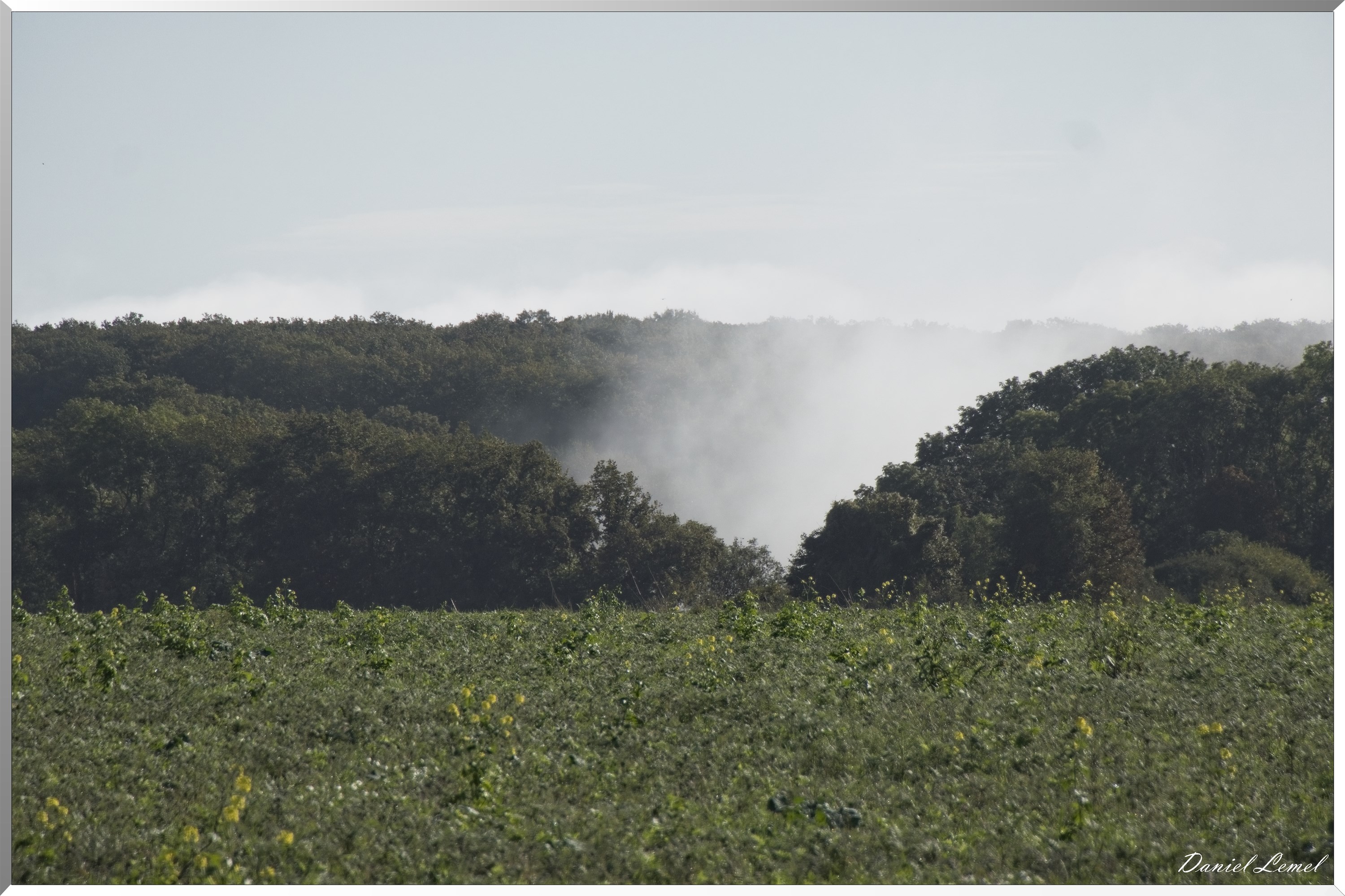 Ste-Geneviève-lès-Gasny