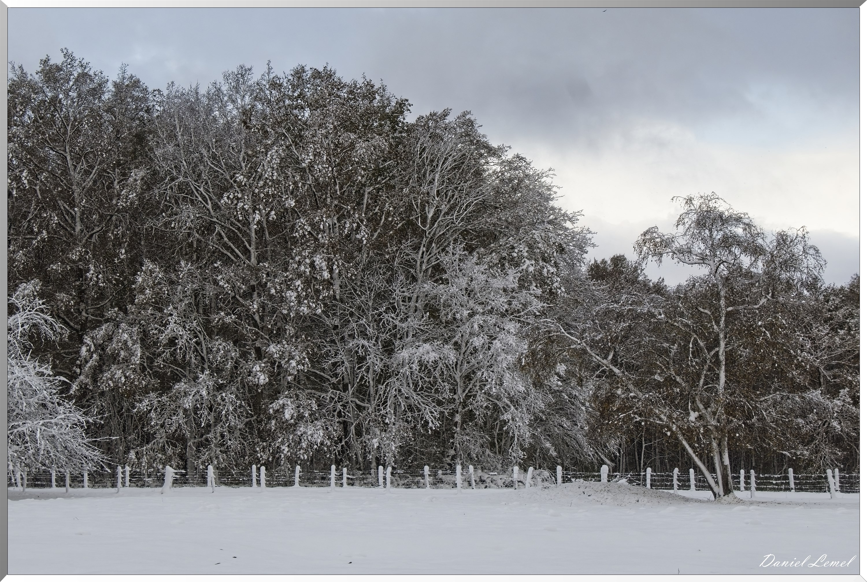 Dormont-Bois-de-Brillehaut