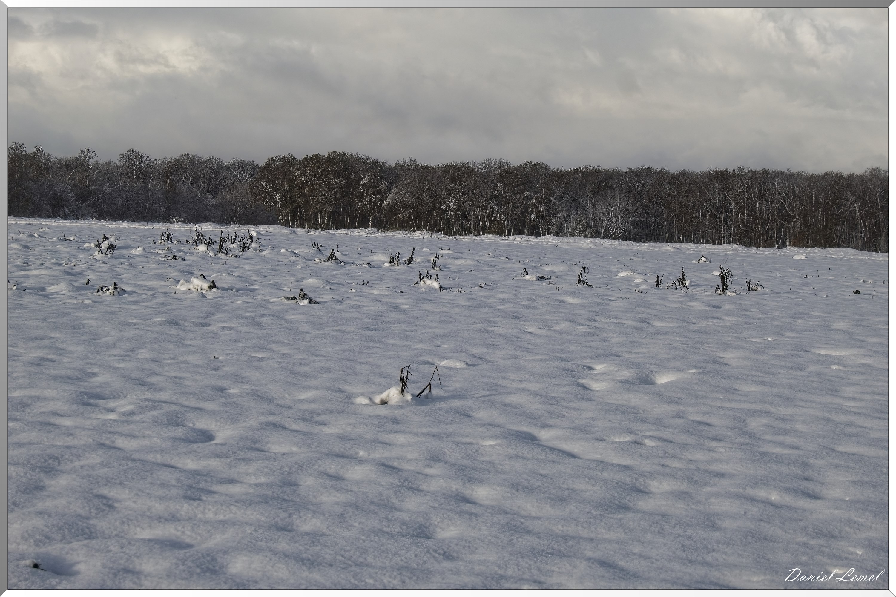 Dormont-Bois-de-Brillehaut