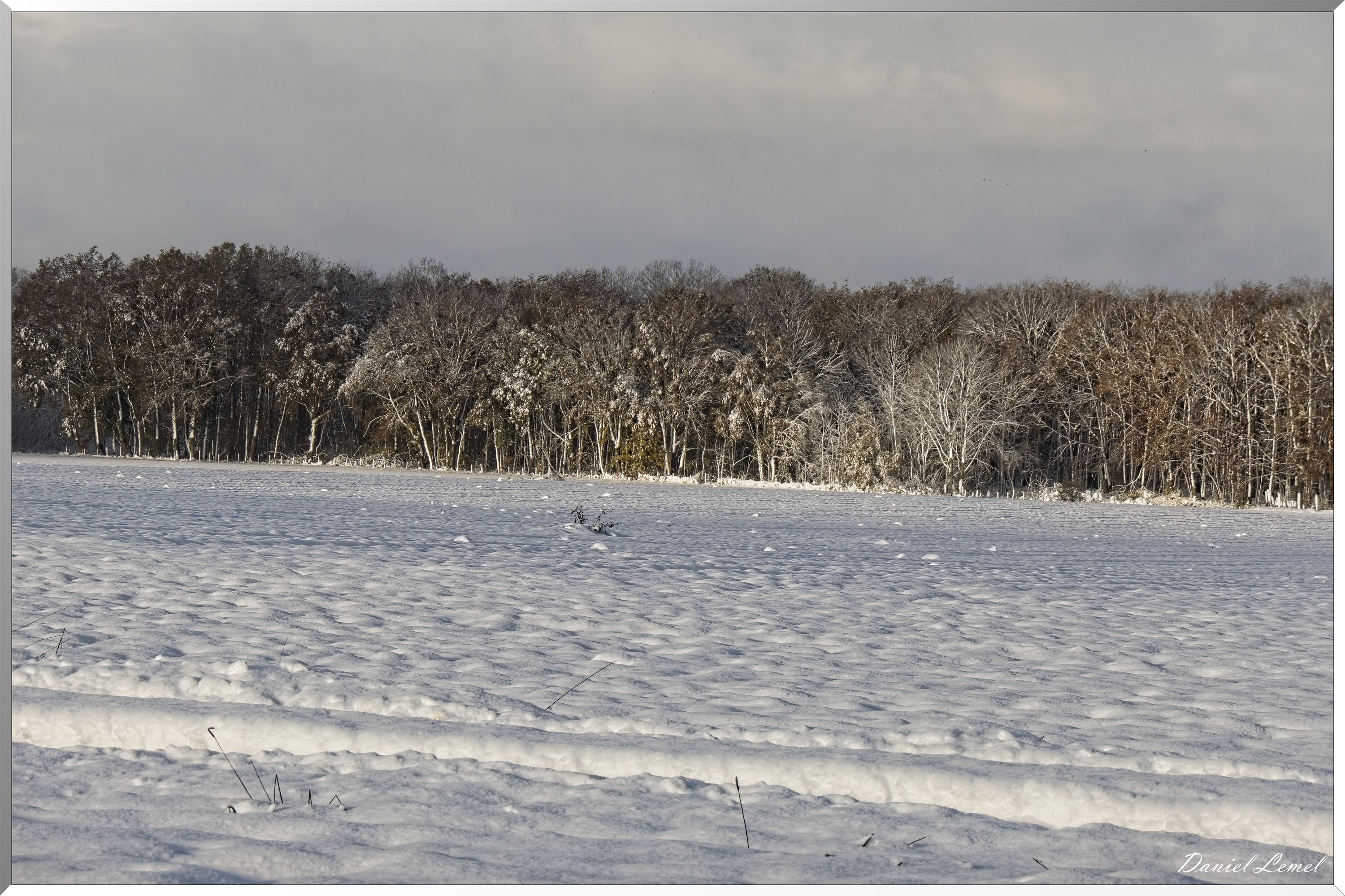 Dormont-Bois-de-Brillehaut