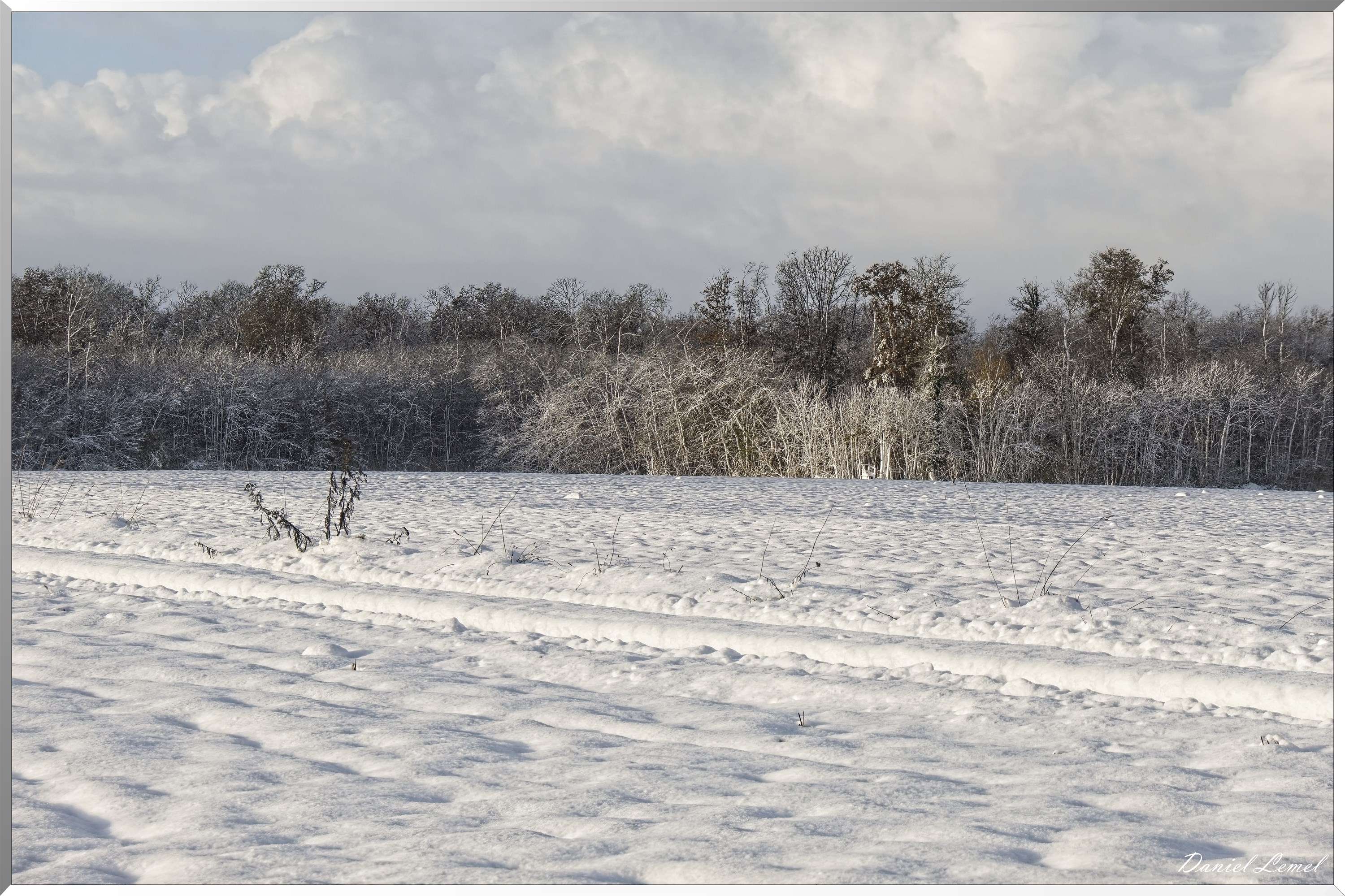 Dormont-Bois-de-Brillehaut