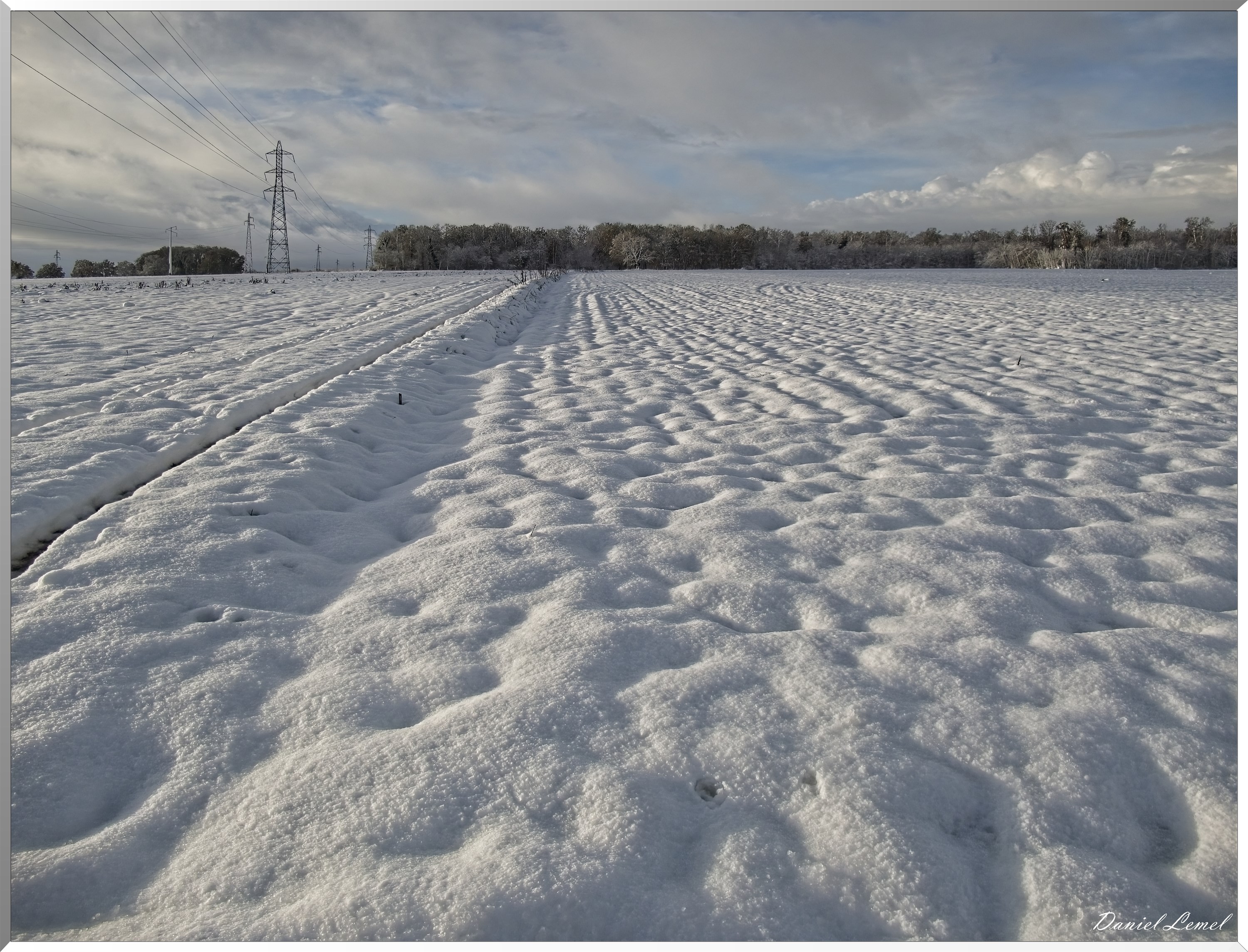 Dormont-Bois-de-Brillehaut