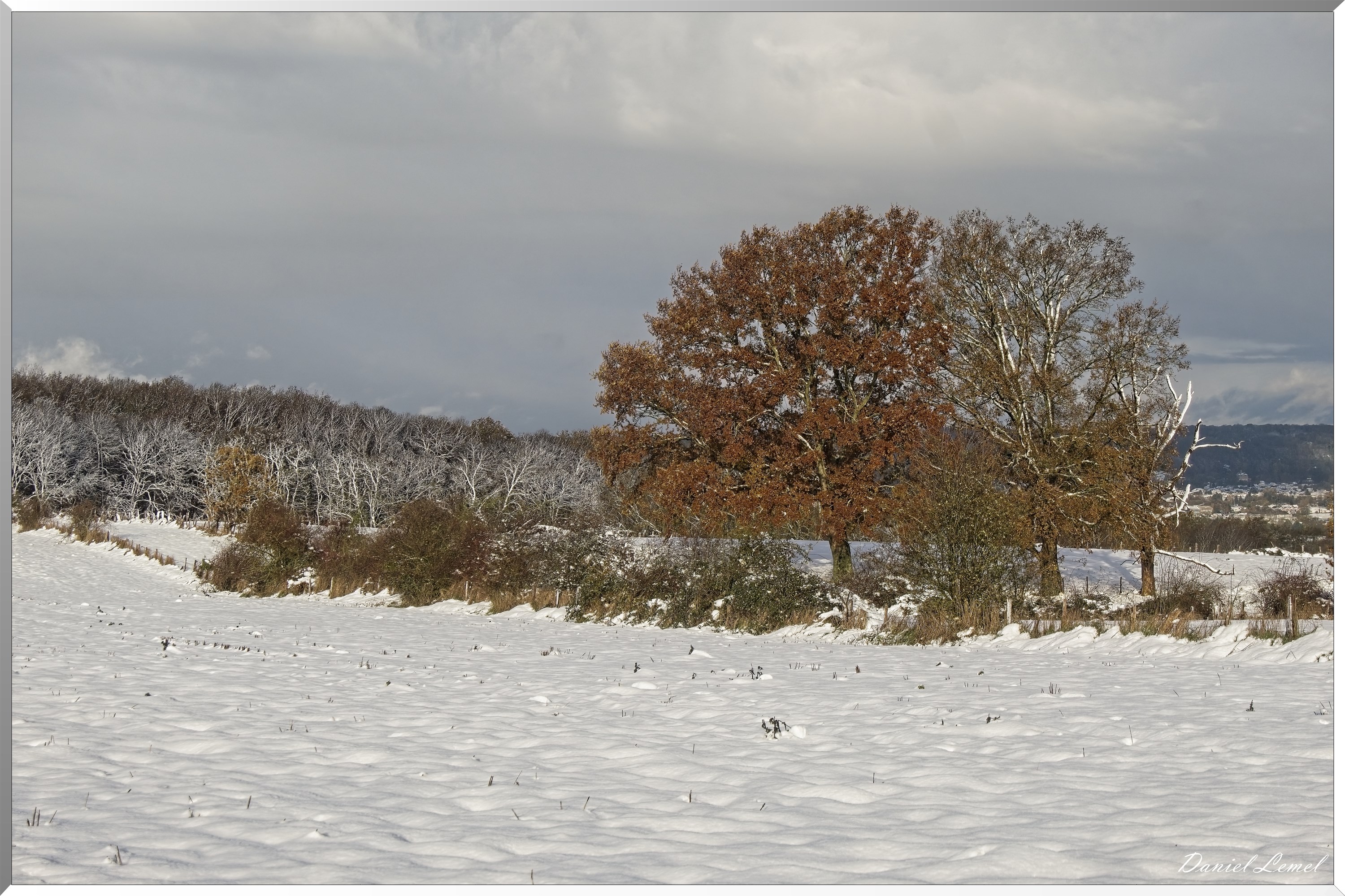 Dormont-Bois-de-Brillehaut