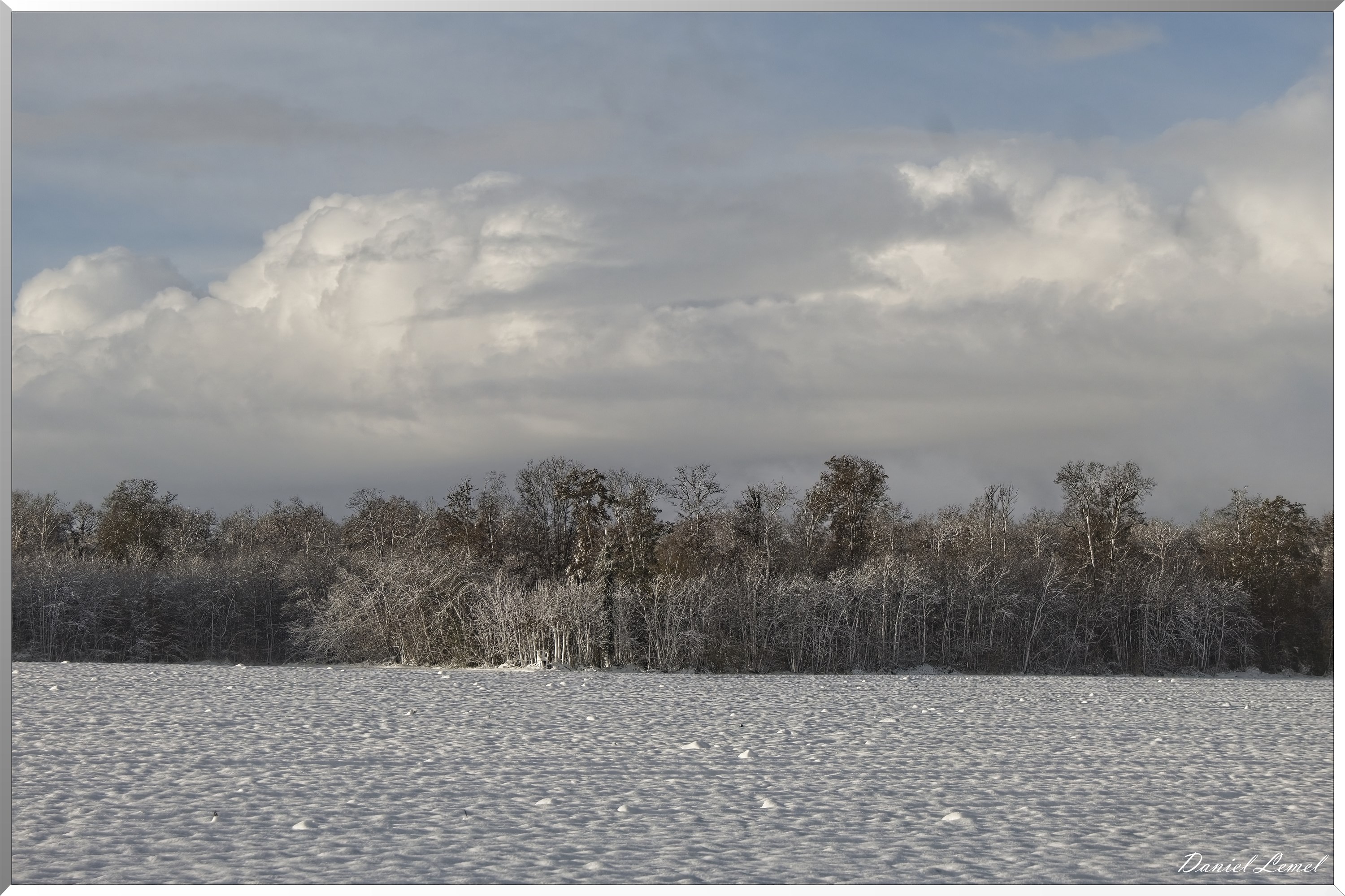 Dormont-Bois-de-Brillehaut