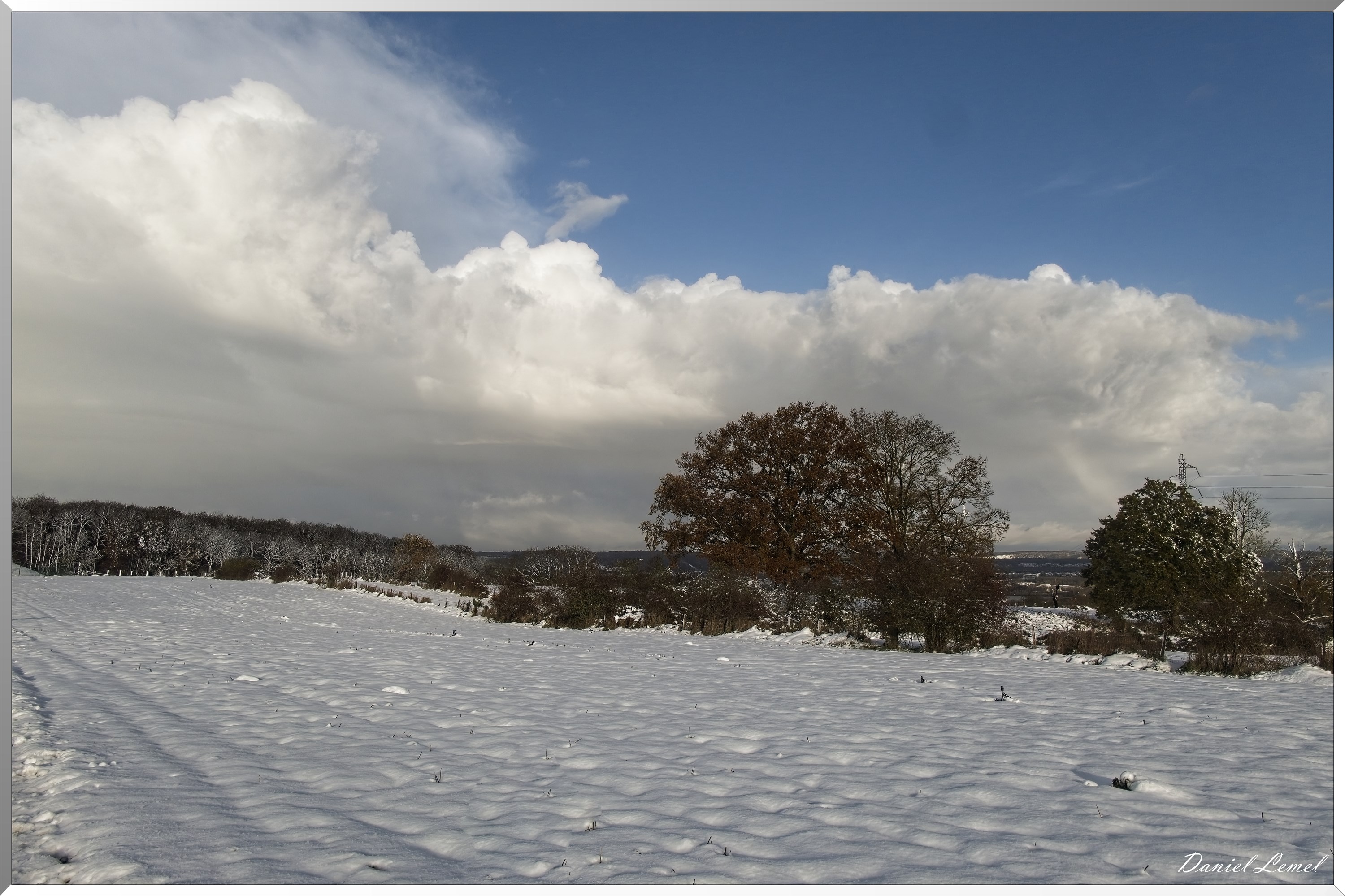 Dormont-Bois-de-Brillehaut
