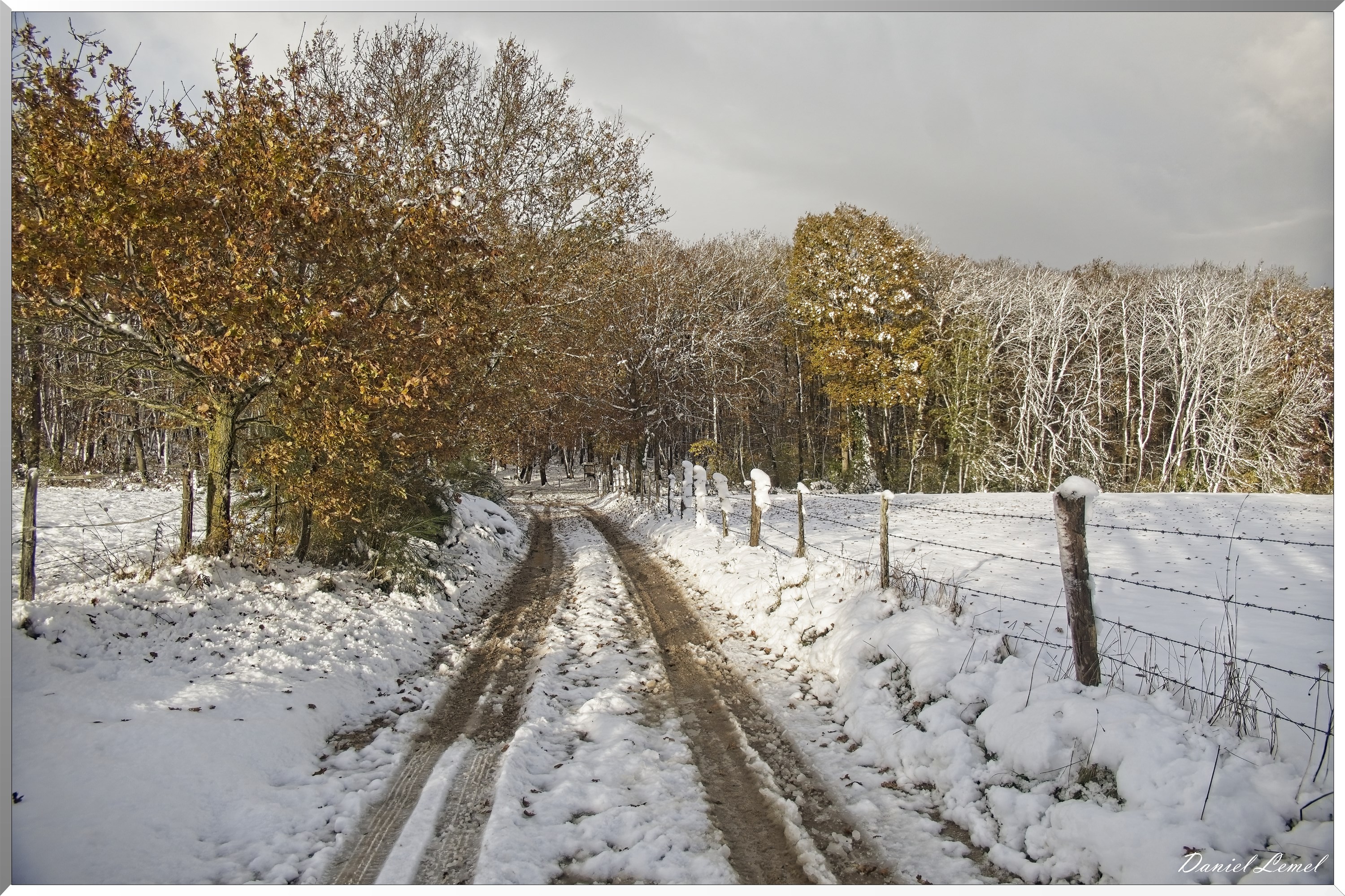 Dormont-Bois-de-Brillehaut