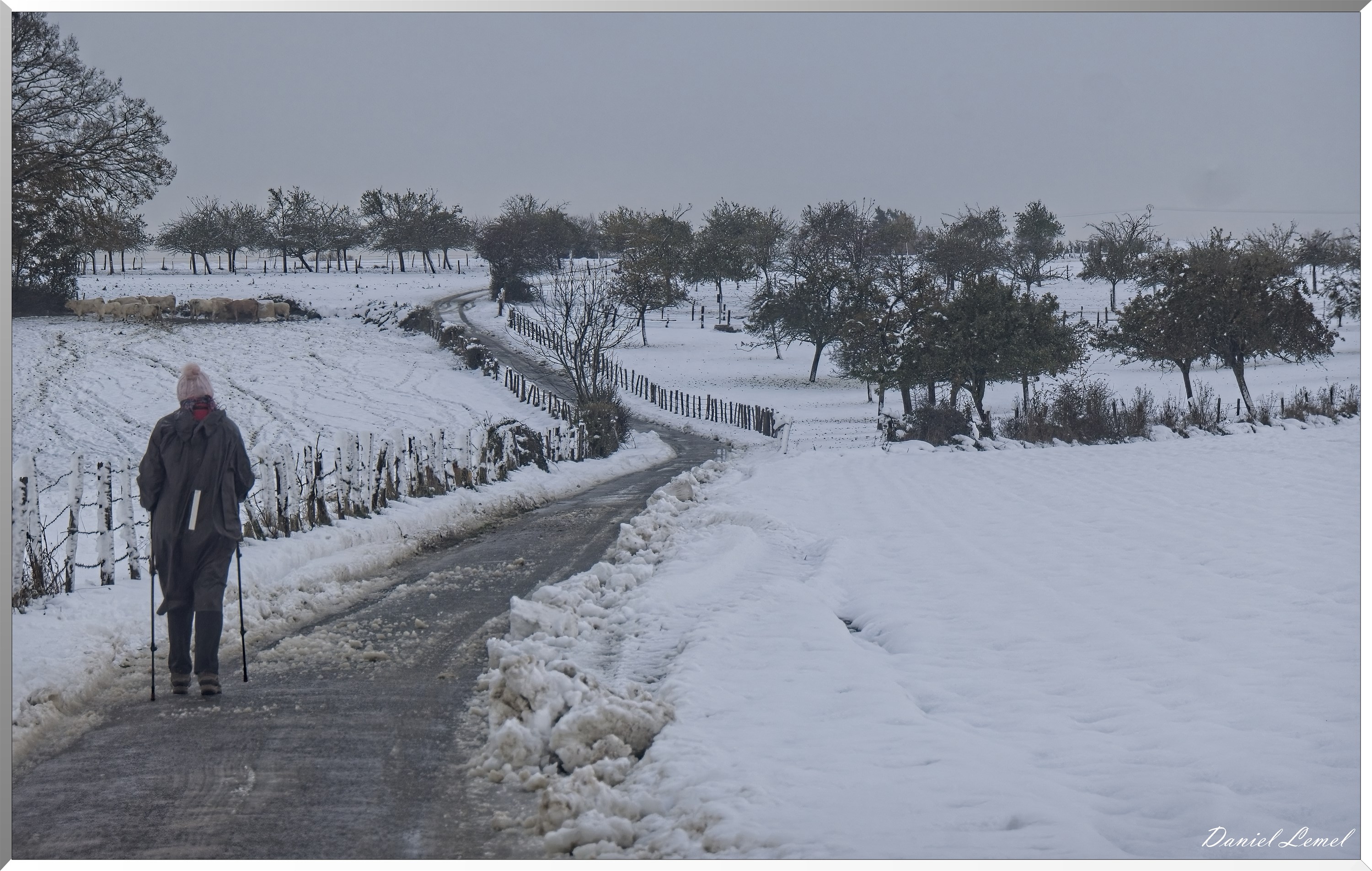 Dormont-Bois-de-Brillehaut