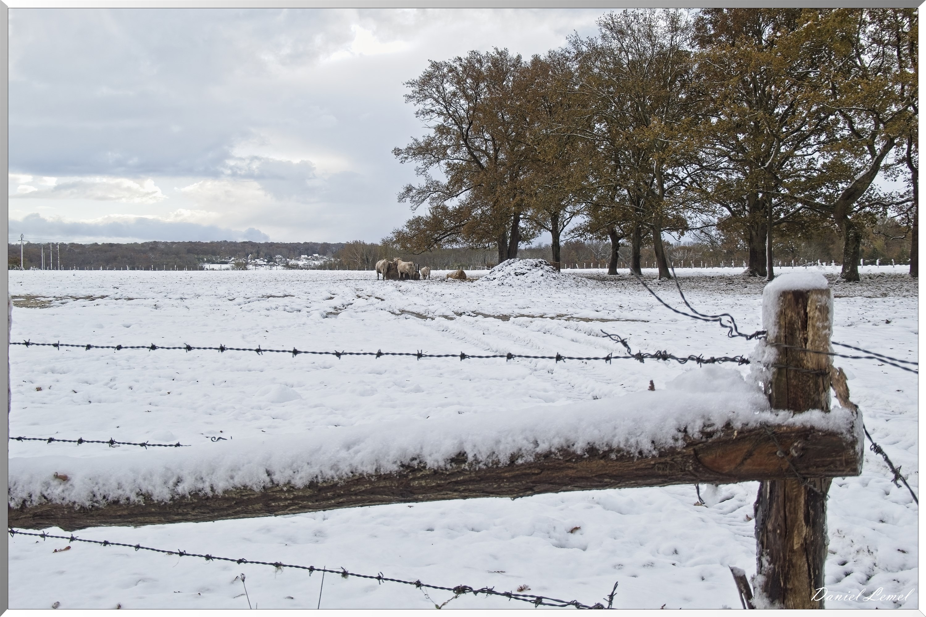 Dormont-Bois-de-Brillehaut