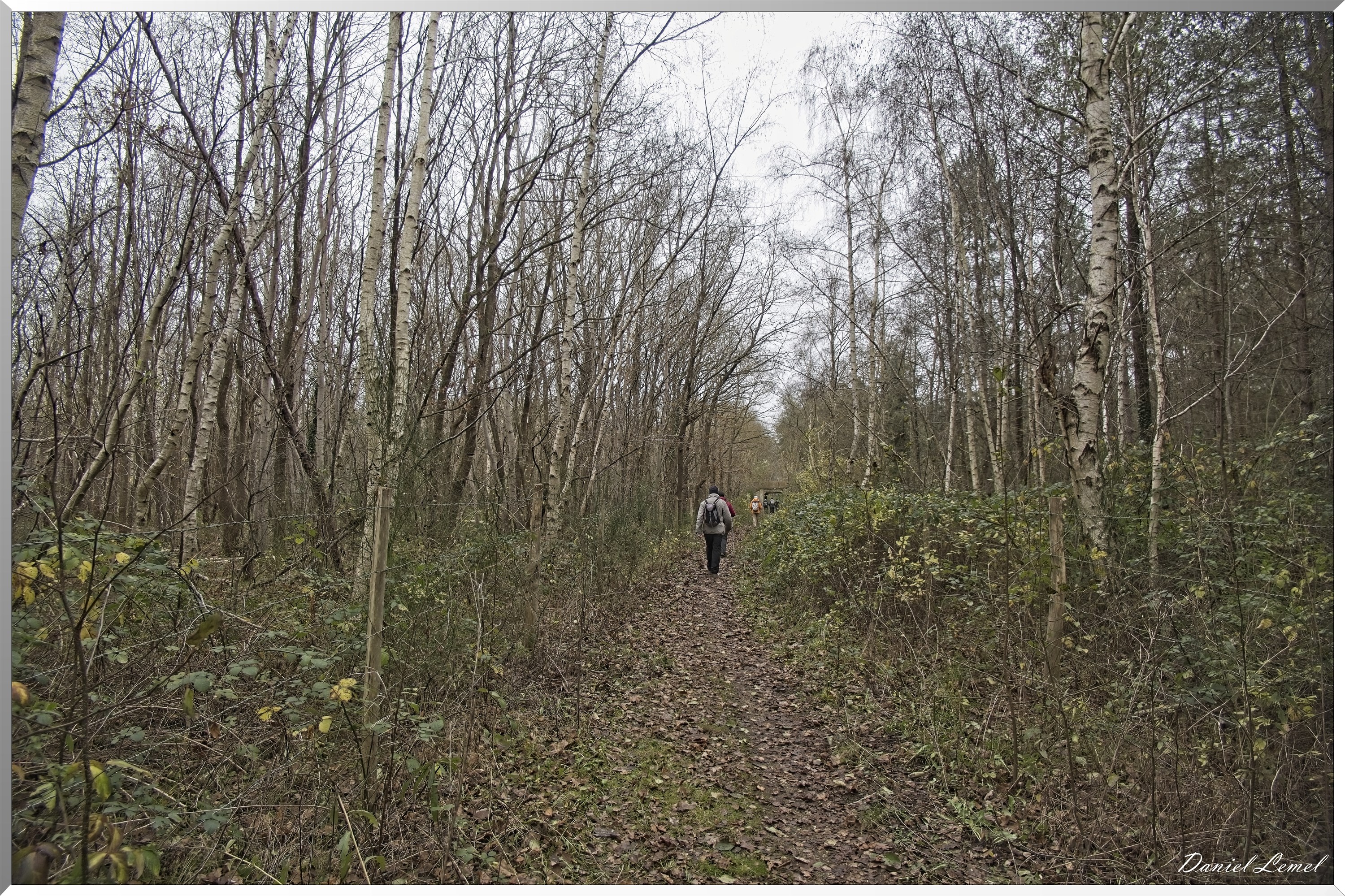 Courcelles